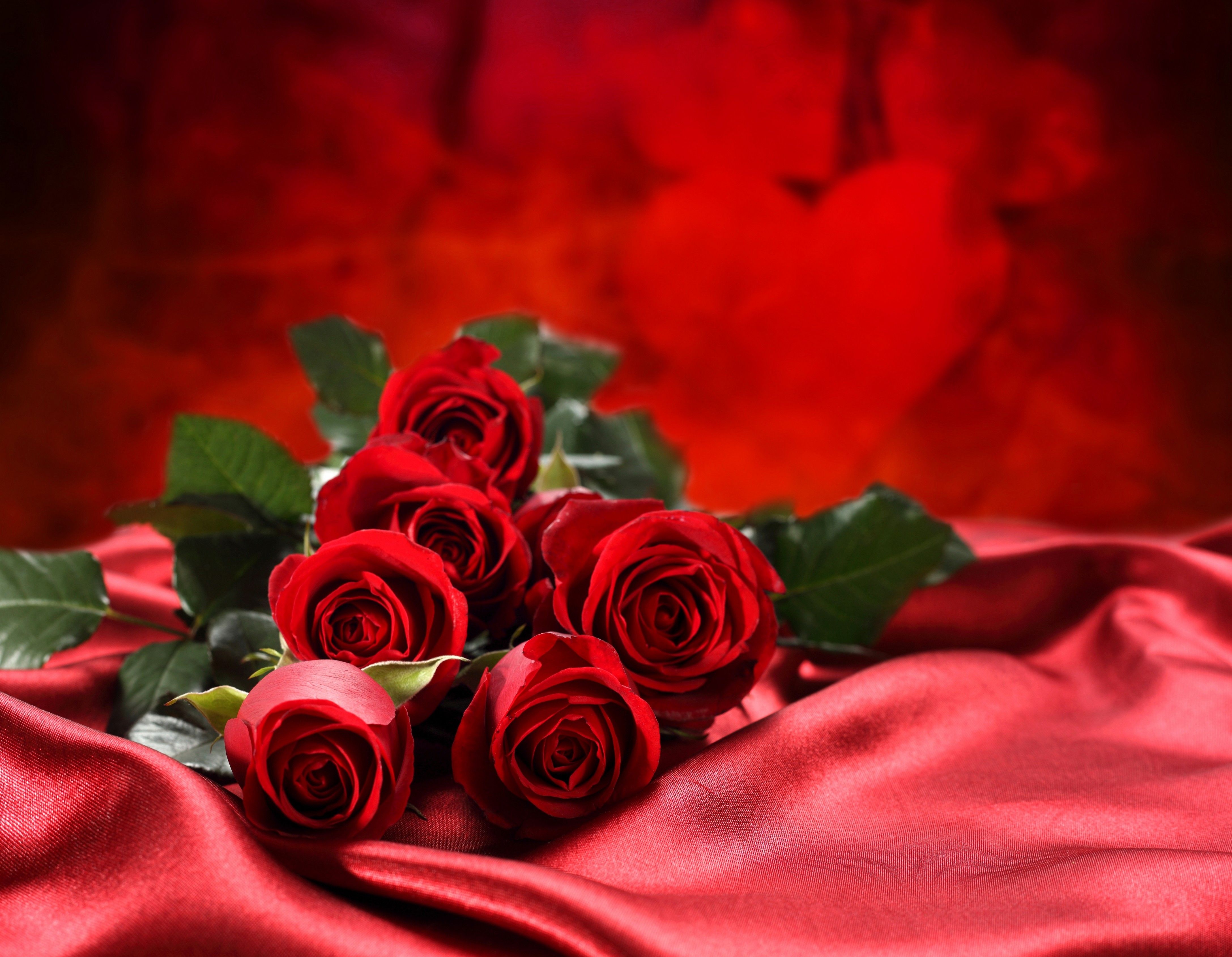 Red Rose Love Wallpapers HD Wallpaper Cave