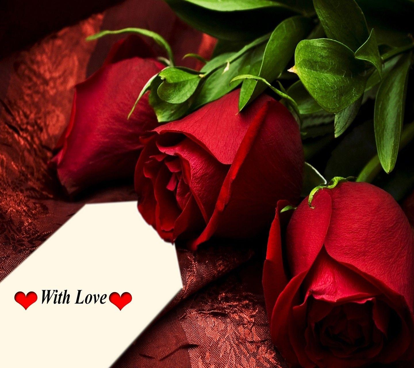 Red Rose Love Wallpapers HD Wallpaper Cave