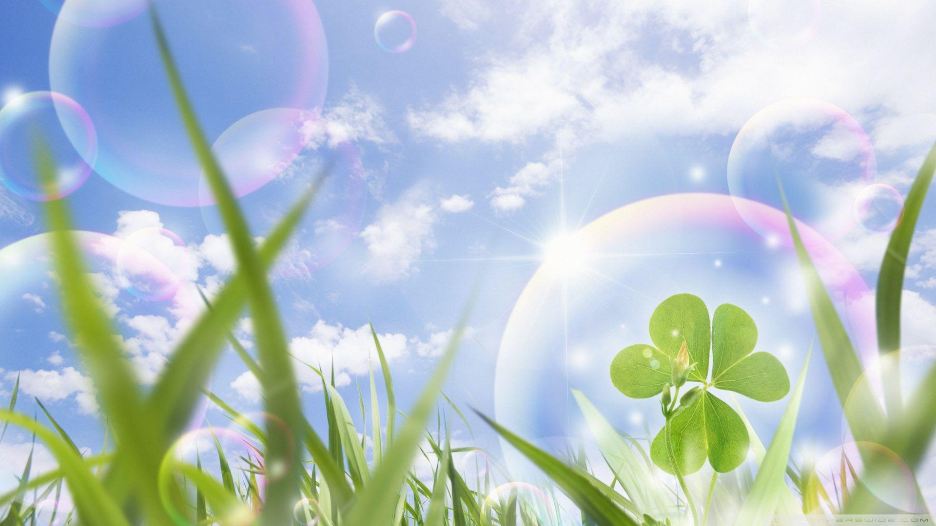 Lucky Wallpapers Wallpaper Cave