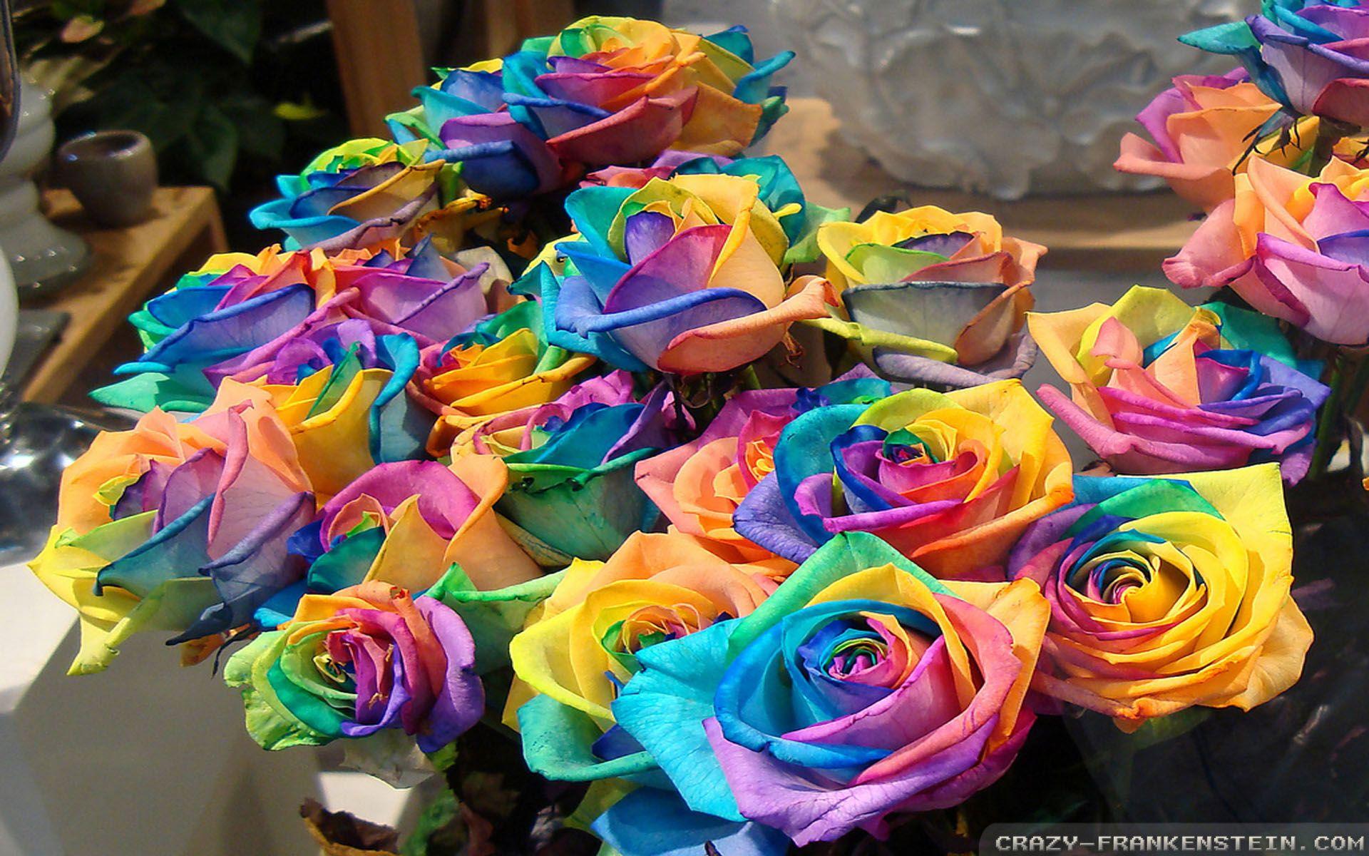 Colorful Rose Wallpapers Wallpaper Cave