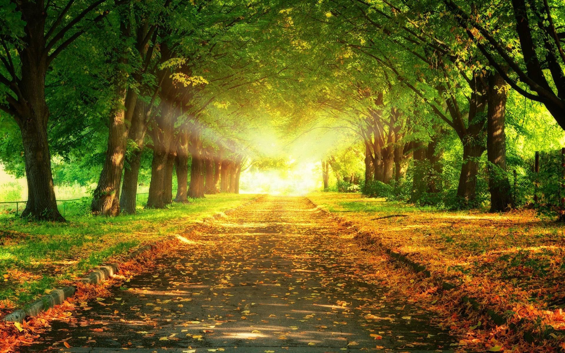 Full HD Backgrounds Wallpapers Wallpaper Cave