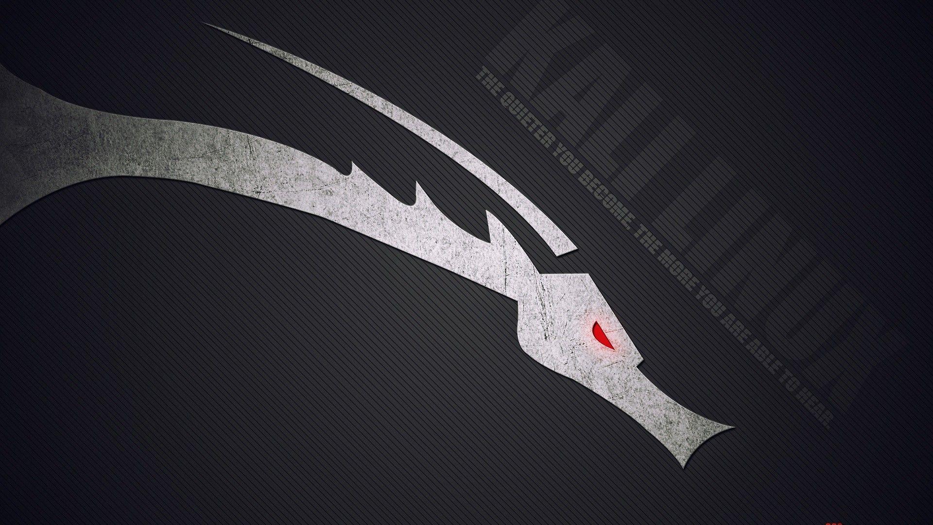 Kali Linux Wallpapers 1920x1080 Wallpaper Cave