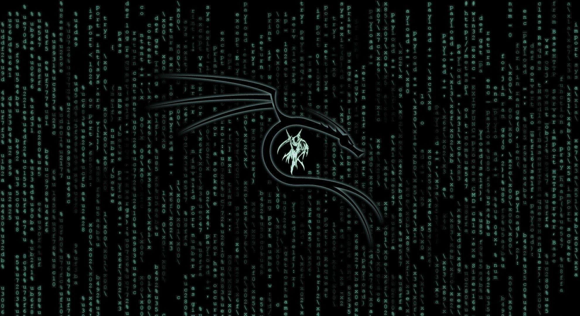 Kali Linux Wallpapers 1920x1080 Wallpaper Cave