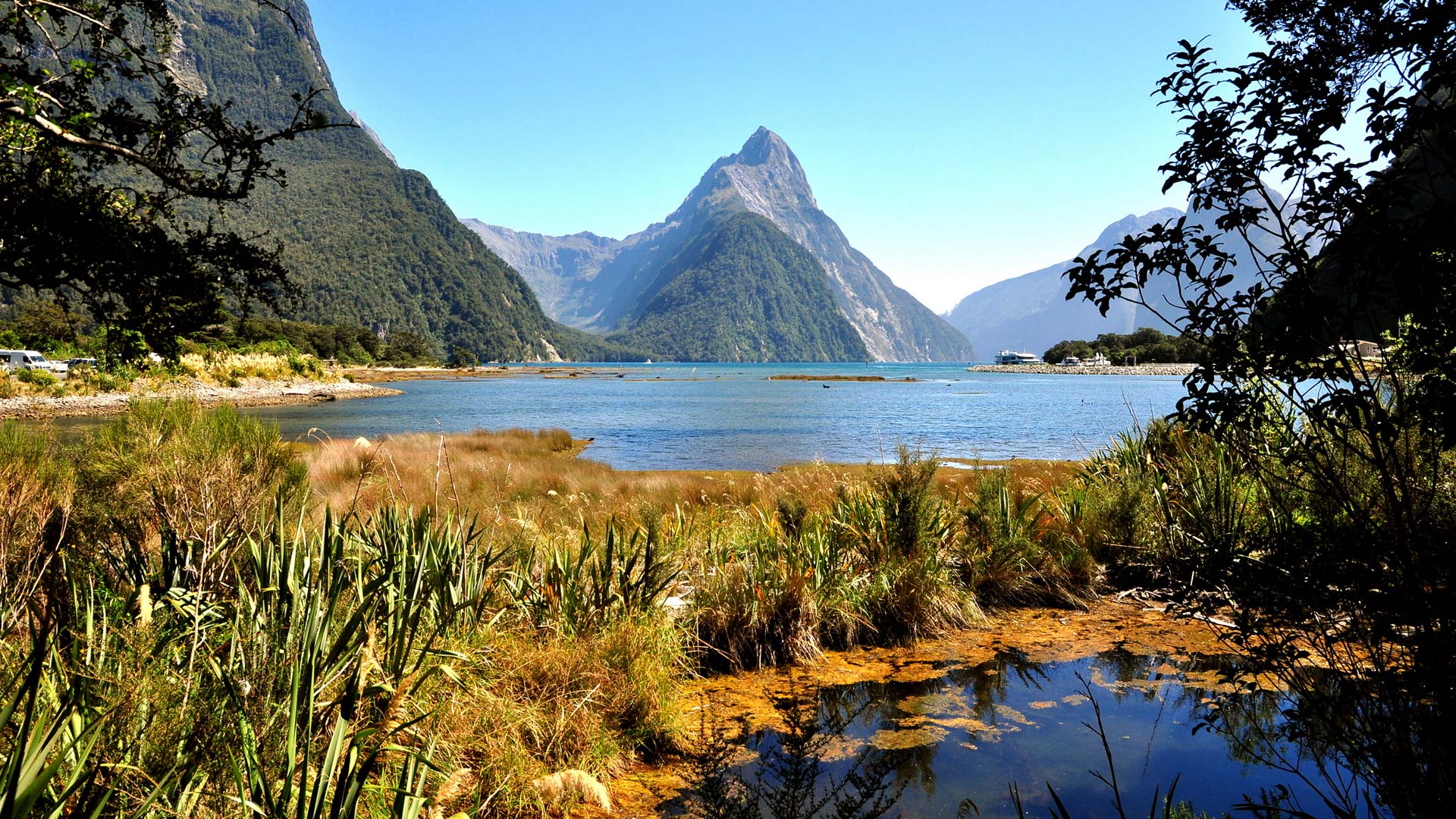 Fiordland National Park Wallpapers Wallpaper Cave
