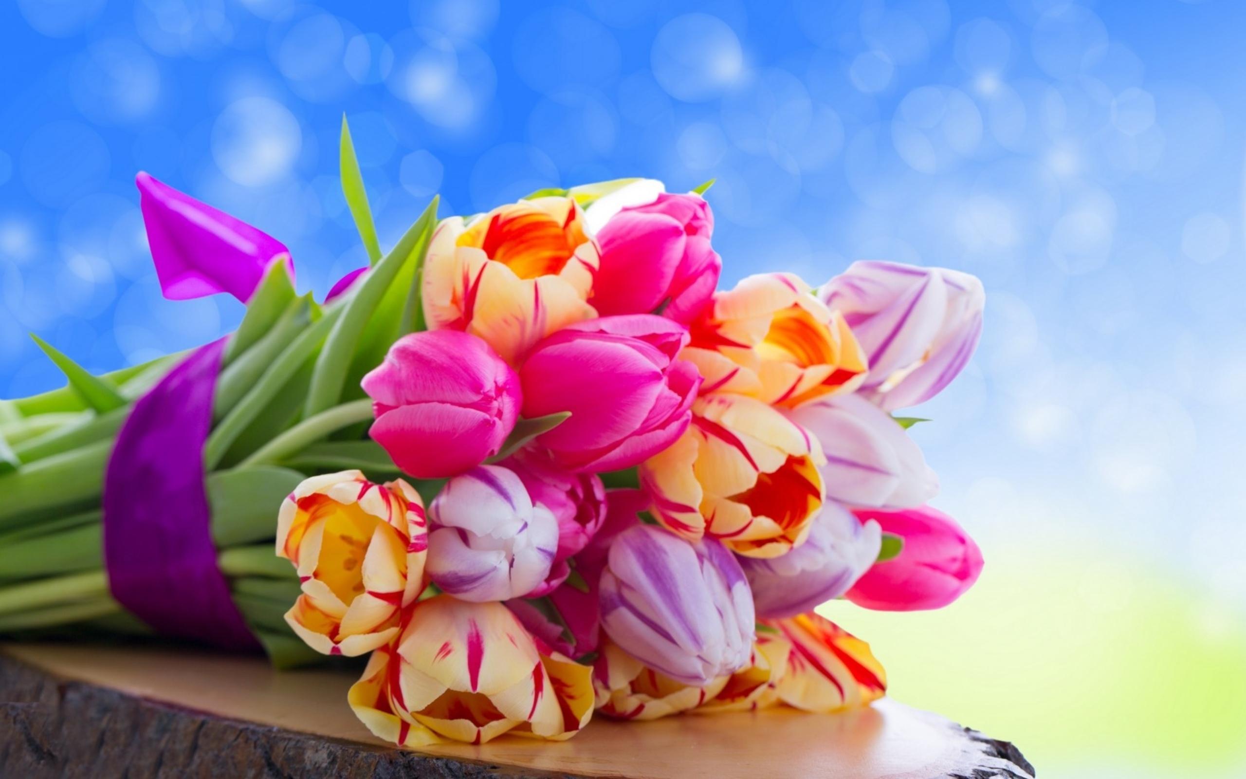 Beautiful Colorful Flowers Wallpapers Wallpaper Cave
