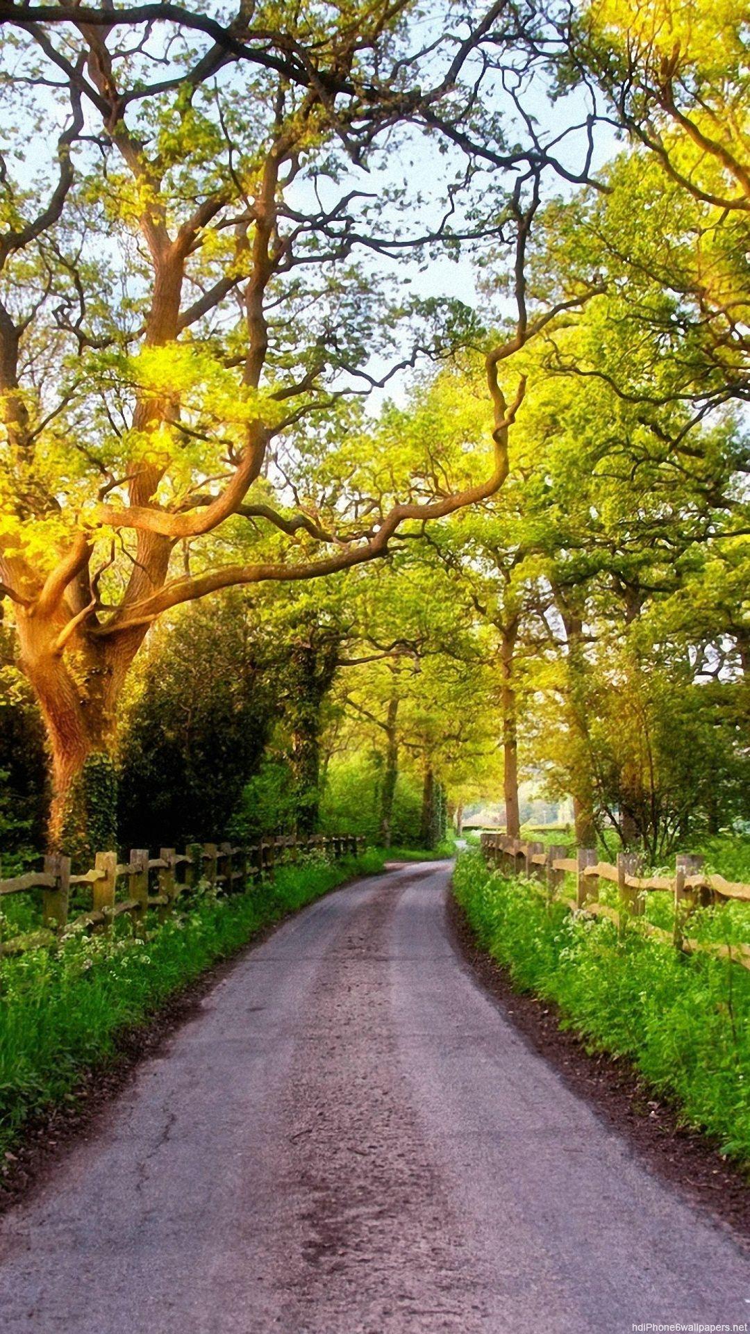 Wallpapers HD 1080p Nature Green Wallpaper Cave