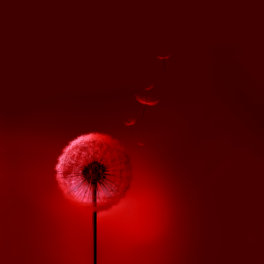 Samsung Galaxy S3 Wallpapers Wallpaper Cave