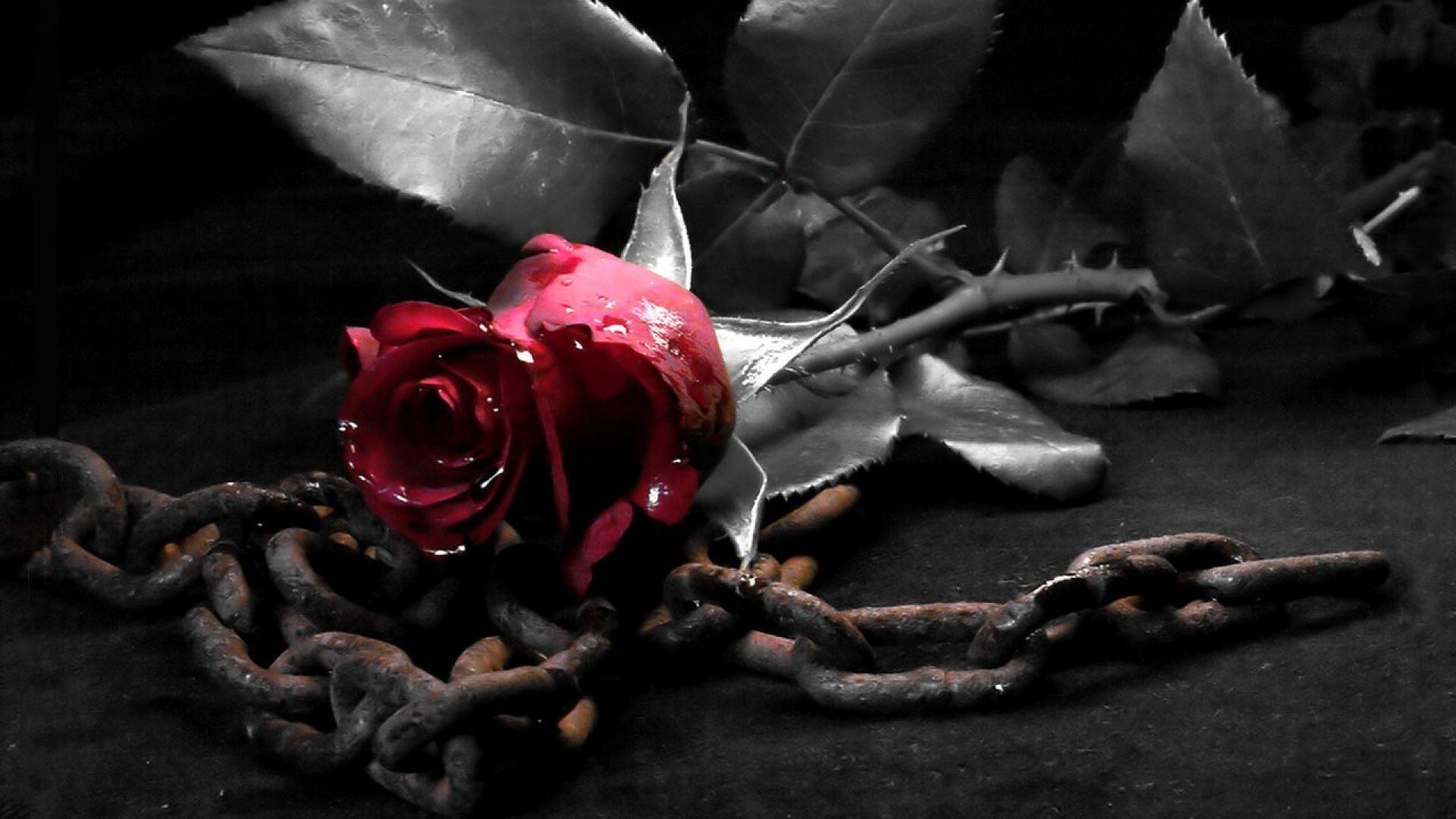 Gothic Metal Wallpapers Wallpaper Cave