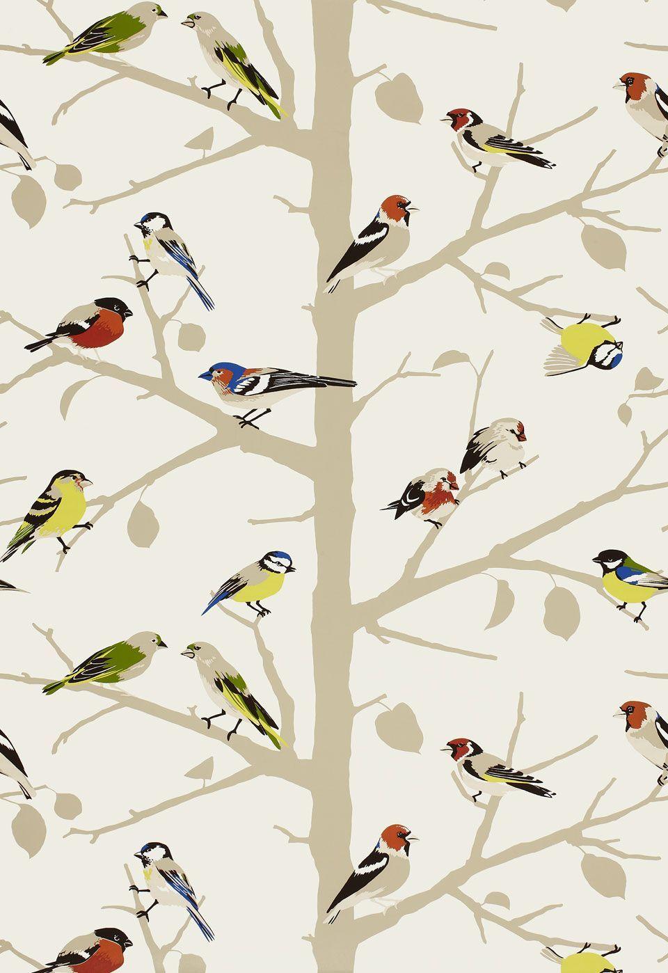 Retro Bird Wallpapers Wallpaper Cave