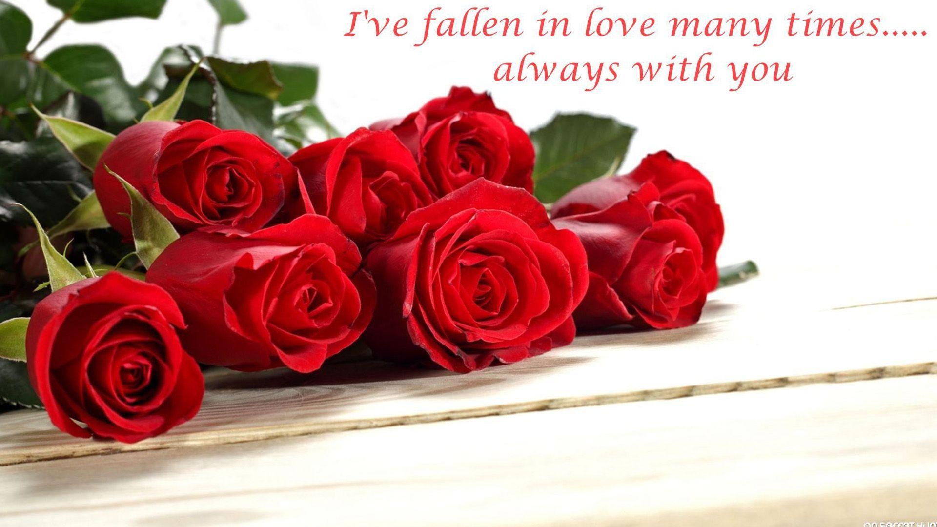 Red Rose Wallpaper With Love Quotes