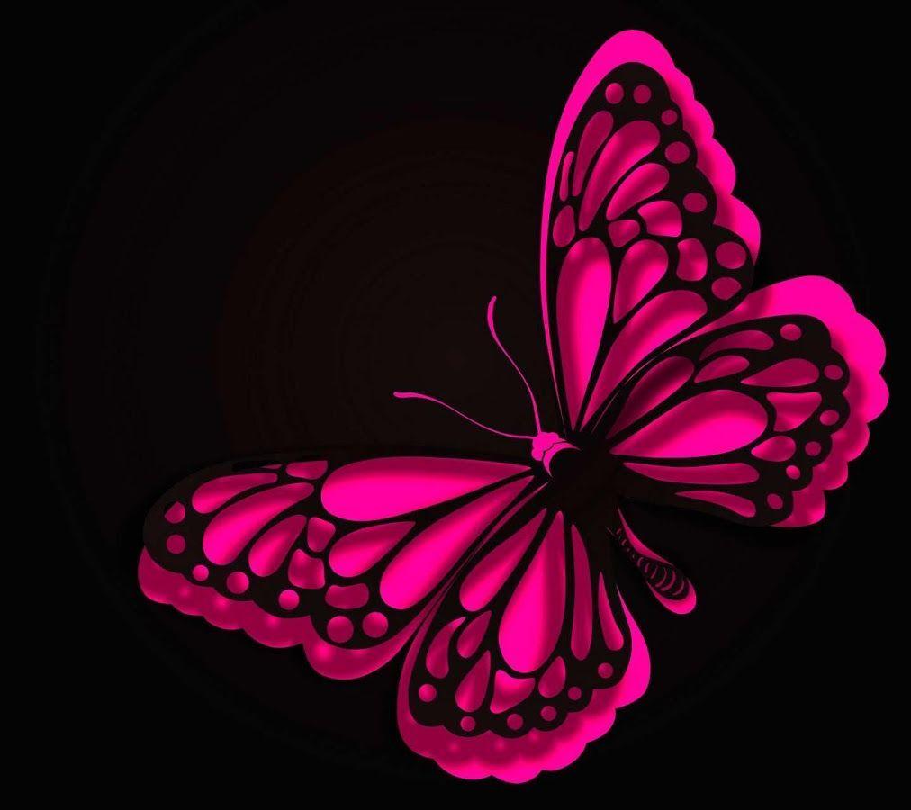 Pink Colourful Butterfly Wallpapers Butterflies and orchids flowers