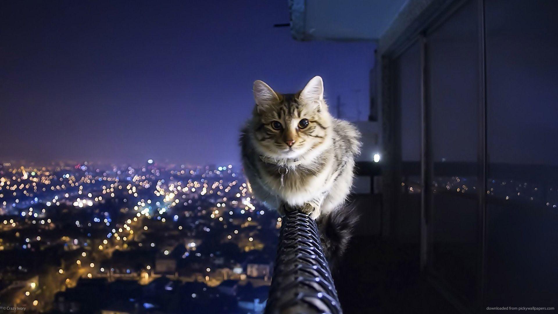 Sick Wallpapers 1920x1080 Wallpaper Cave