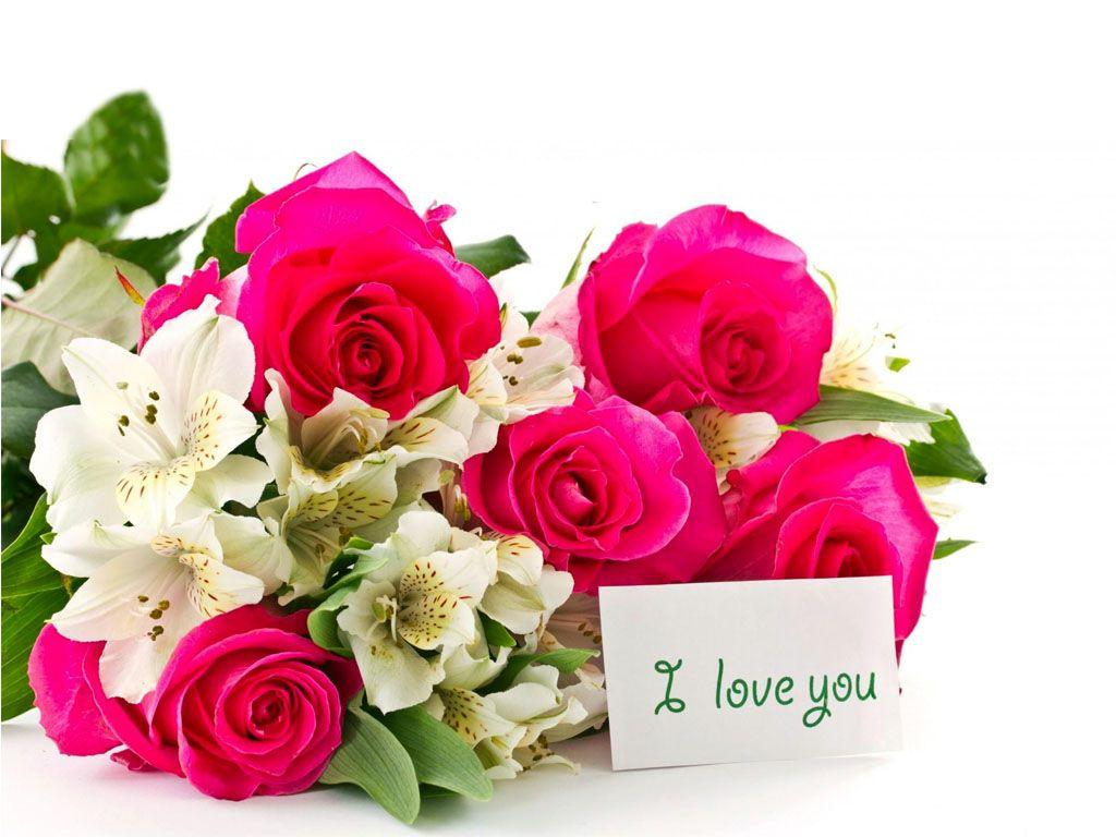 I Love You Rose Flower Wallpaper Best Flower Site