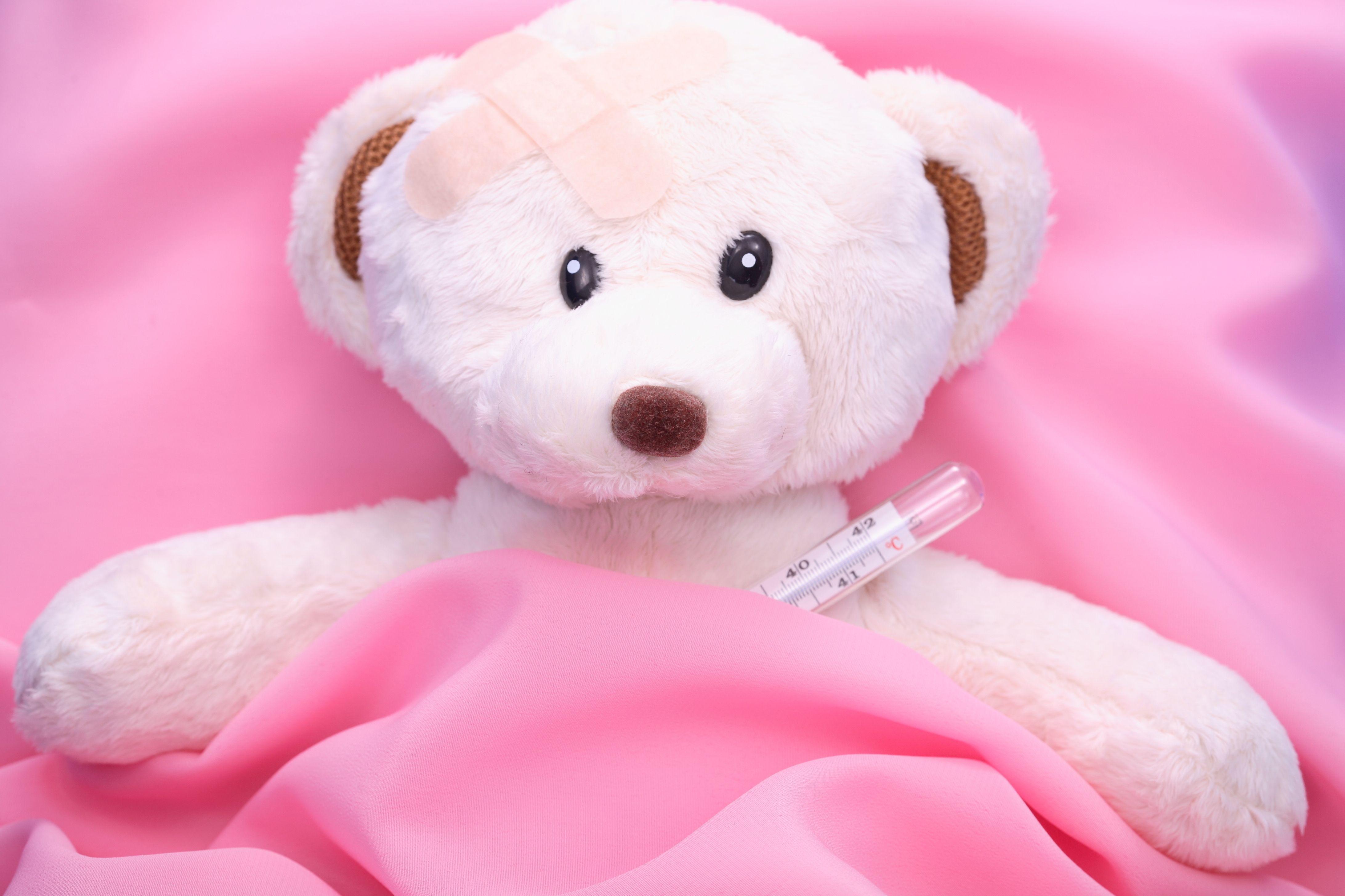 Free Teddy Full HD Wallpapers Wallpaper Cave
