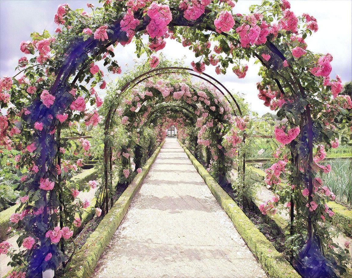 Picsart Editing Garden Background Parketis