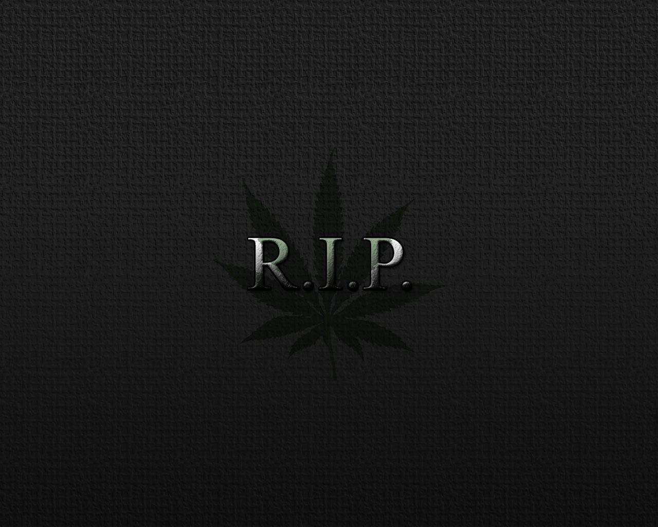 Top 82+ rip wallpaper