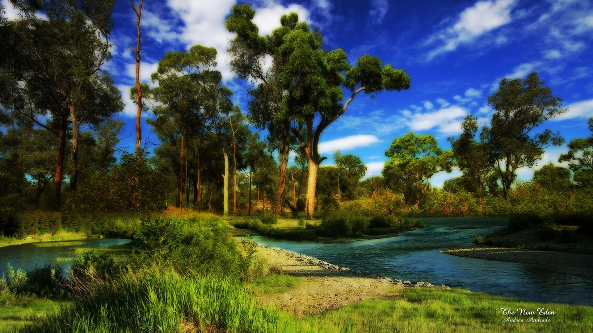 New Wallpapers Download Wallpaper Cave