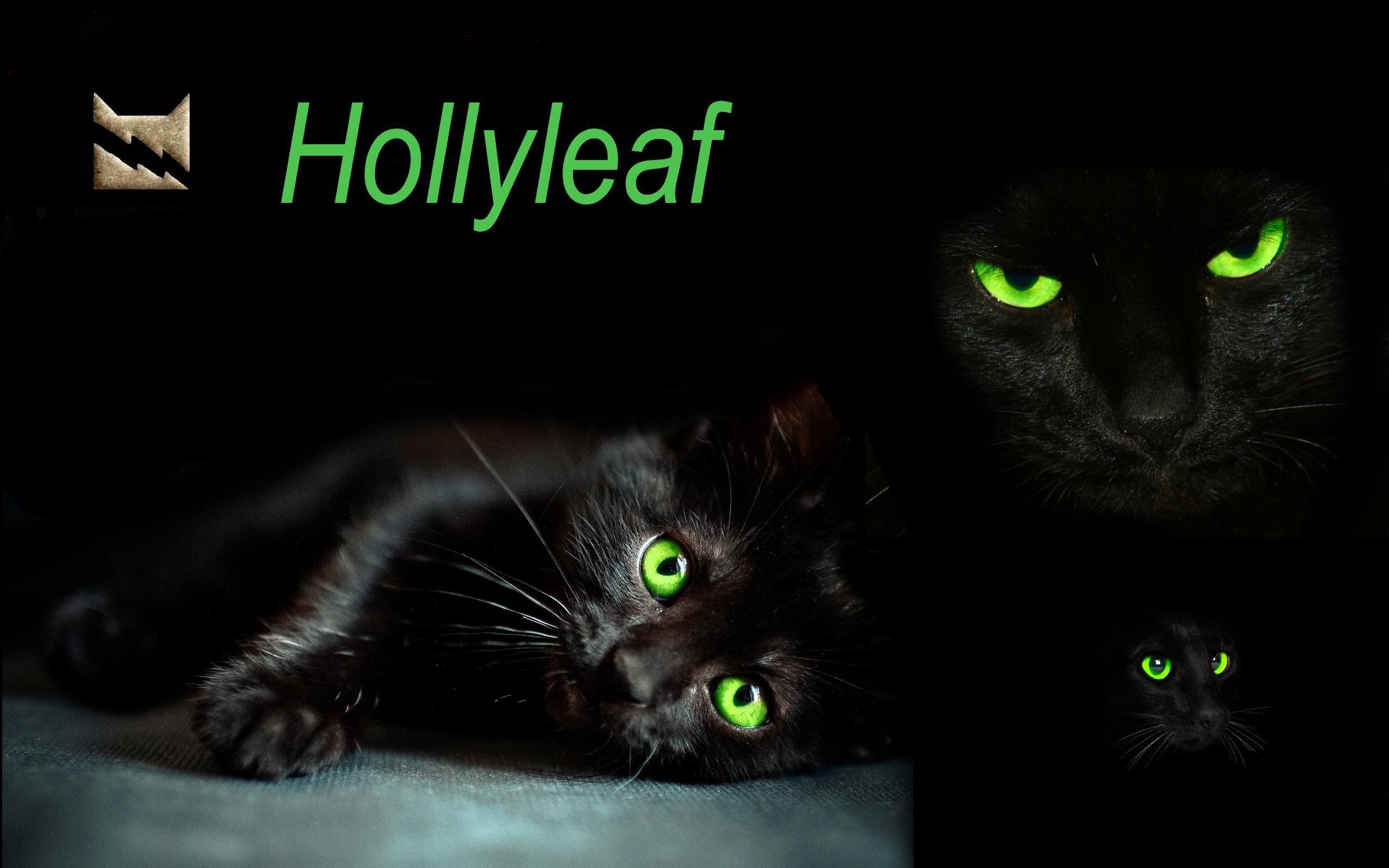 Warrior Cats Wallpapers Wallpaper Cave