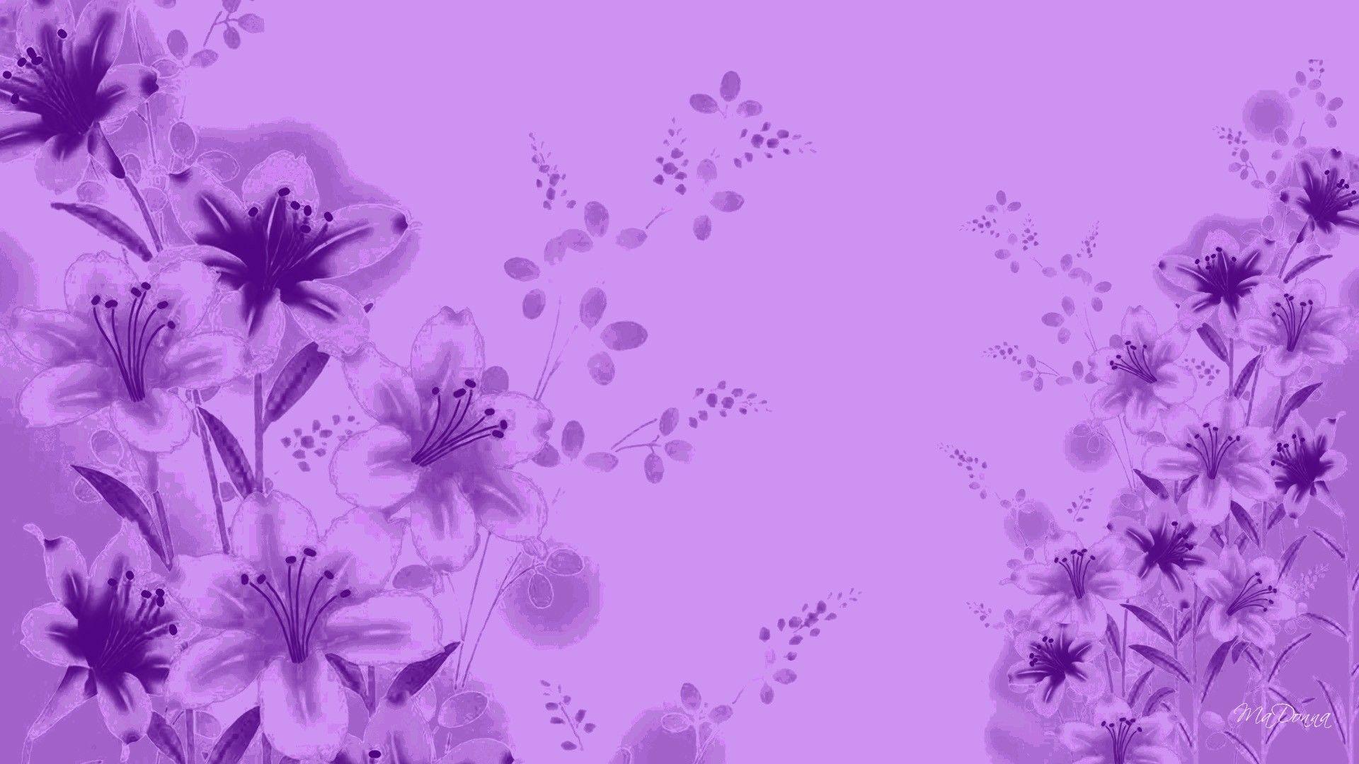 Background Lavender Flower Wallpaper GAMBAR BUNGA