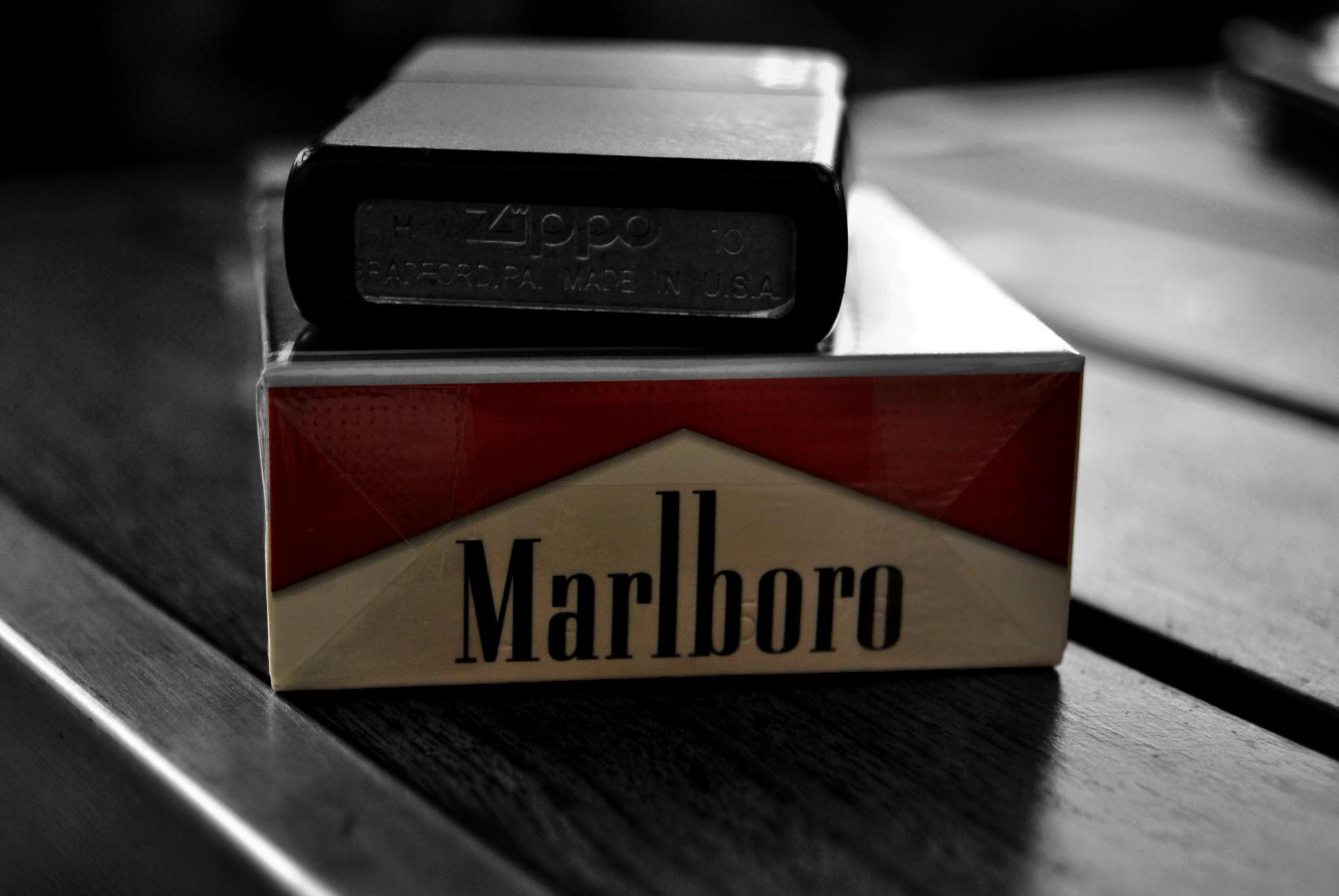136 Wallpaper Rokok Zippo Images My
