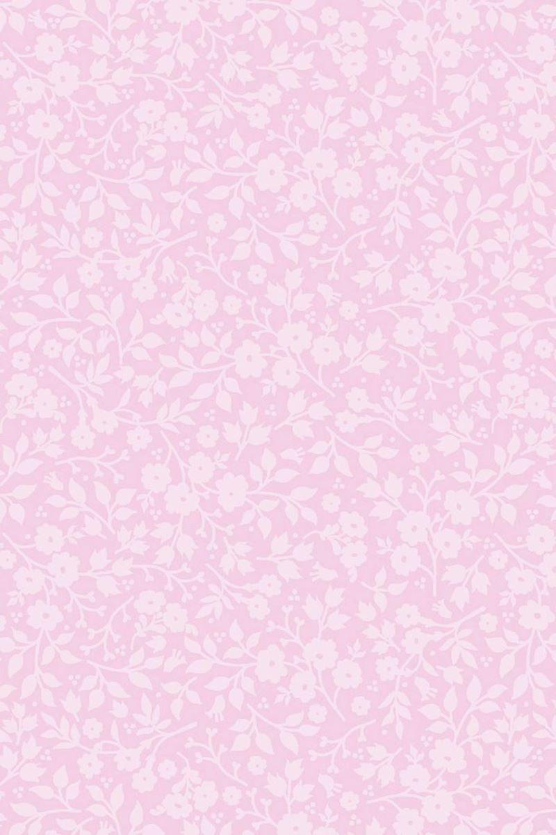 Baby Pink Wallpapers Wallpaper Cave