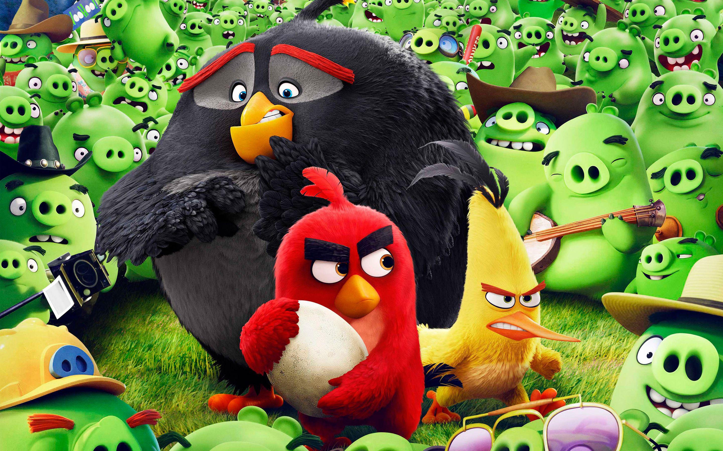 Angry Birds Movie‬ Wallpapers Wallpaper Cave