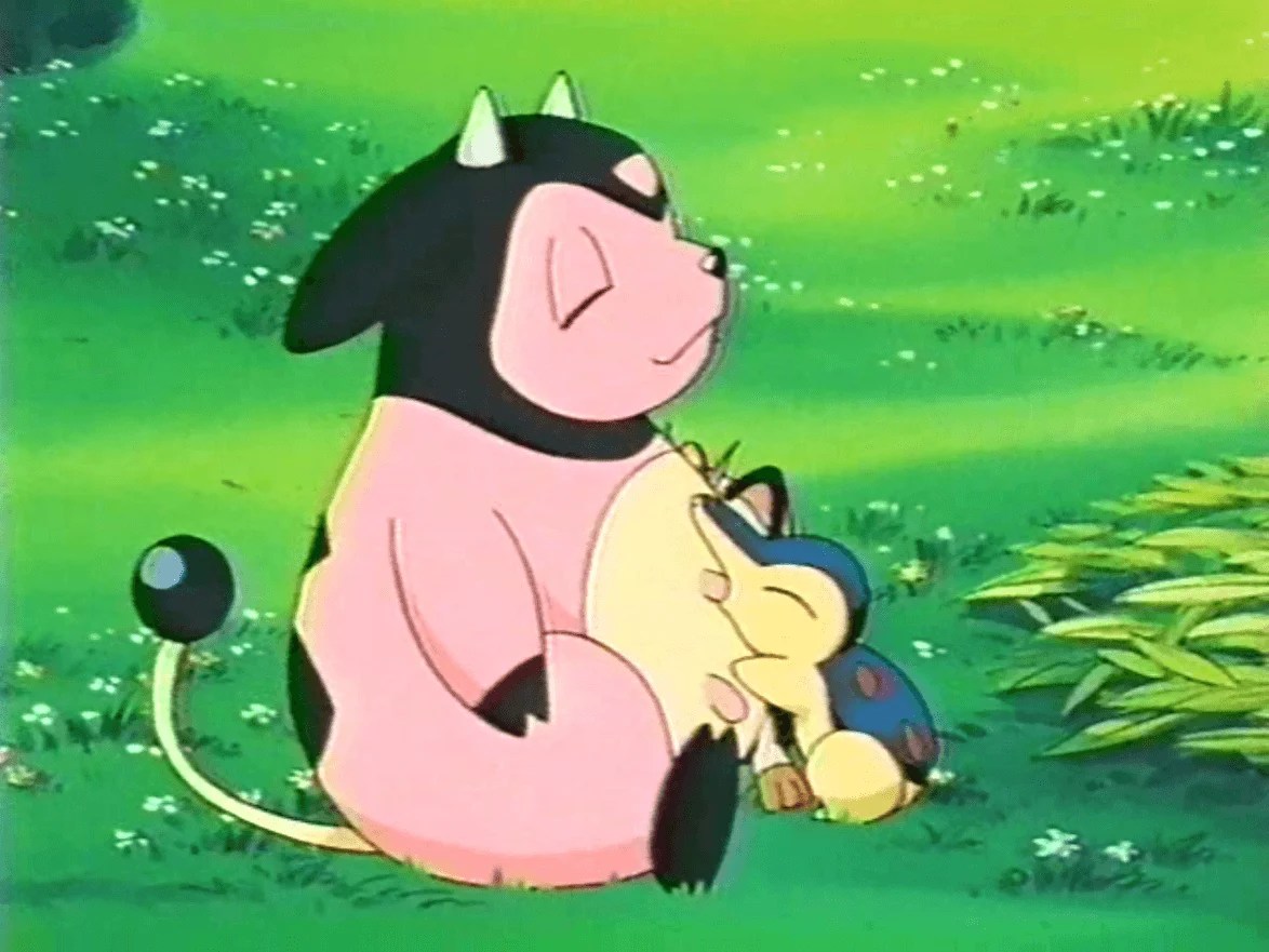 Miltank HD Wallpapers Wallpaper Cave