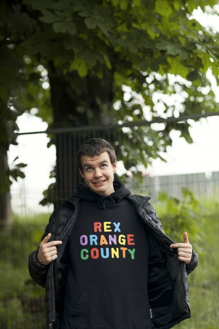 Rex Orange County Wallpapers Wallpaper Cave