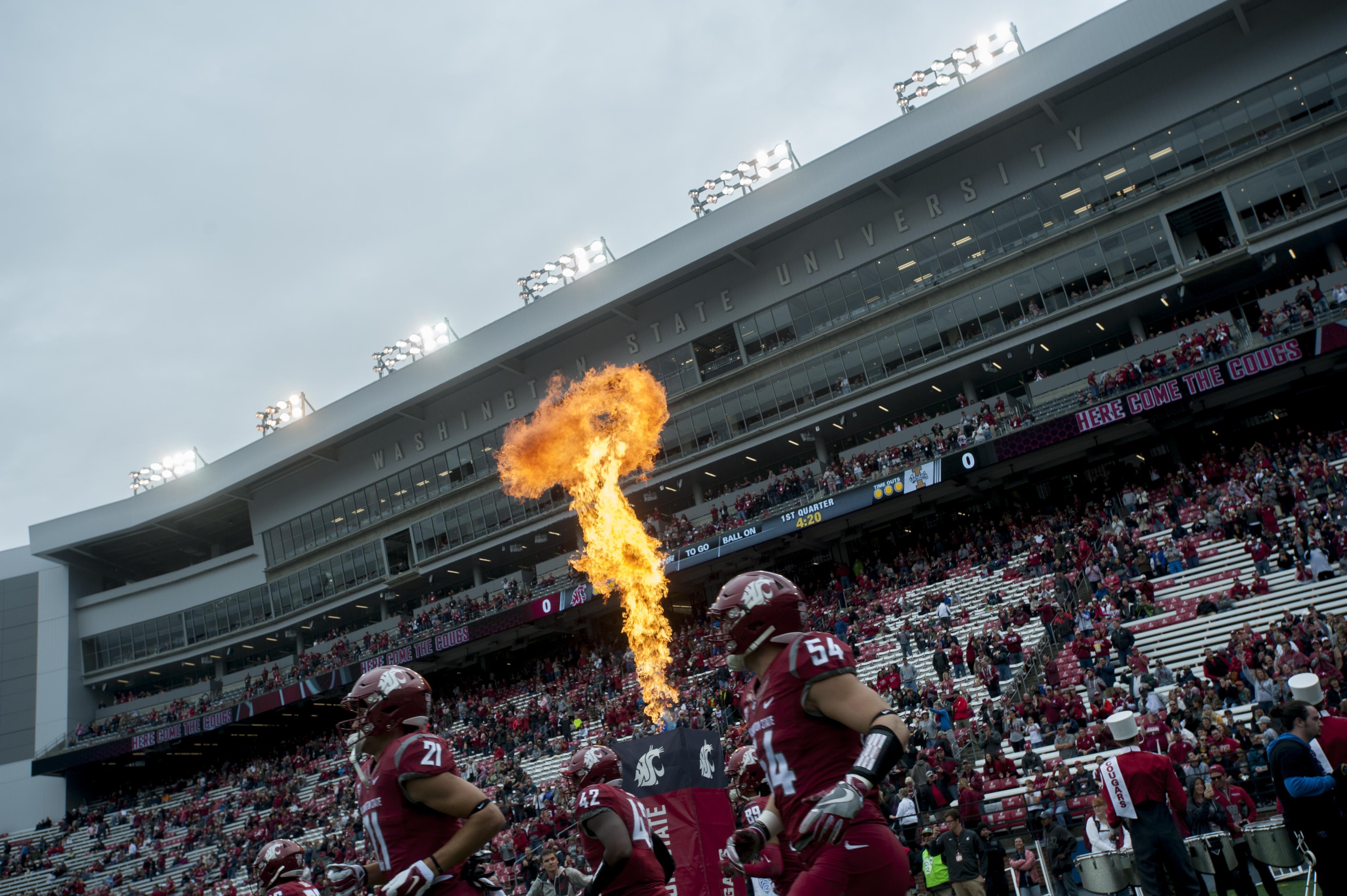 WSU Wallpapers Wallpaper Cave