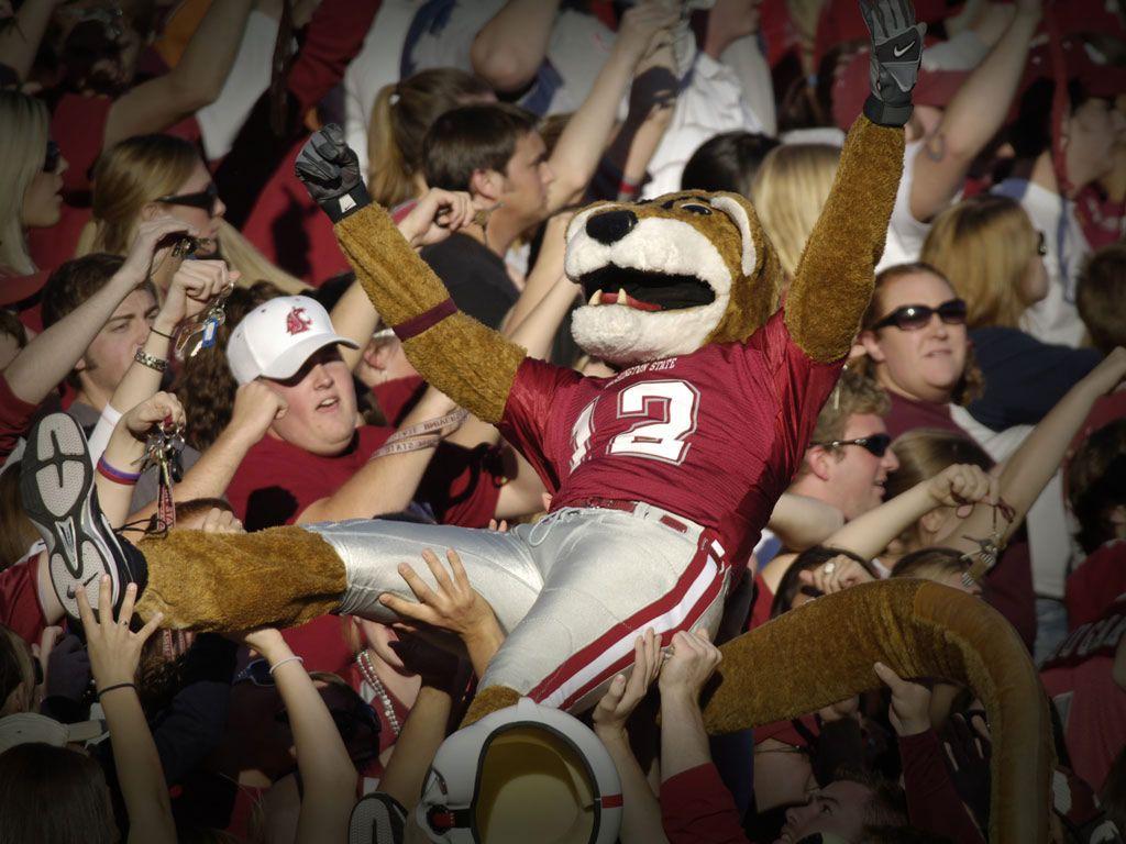 WSU Wallpapers Wallpaper Cave