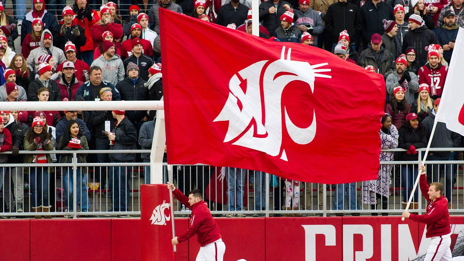 WSU Wallpapers Wallpaper Cave