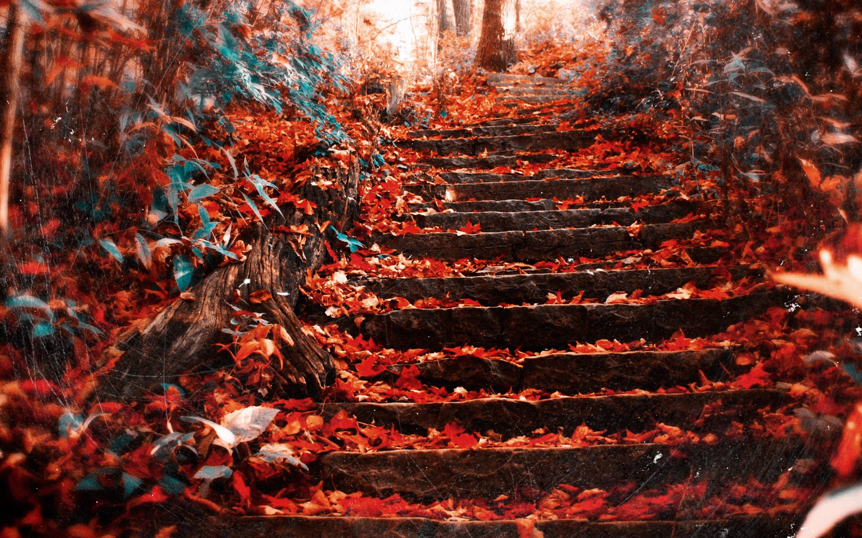 Stair Wallpapers Wallpaper Cave