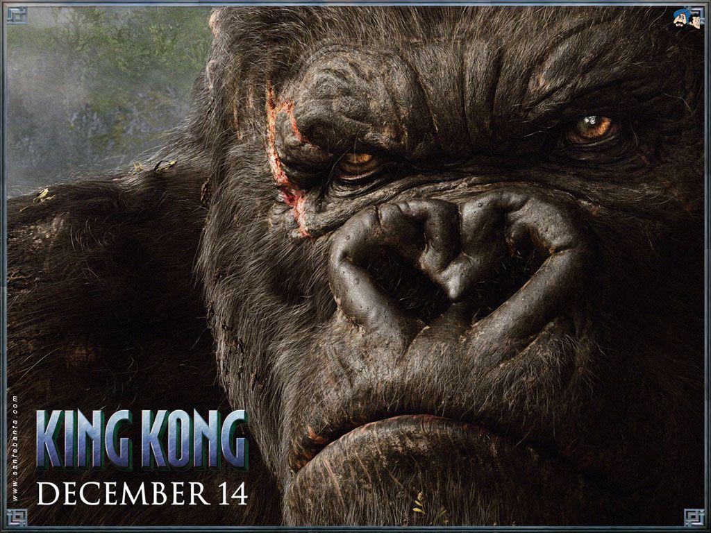 King Kong 2005 HD Wallpapers Wallpaper Cave