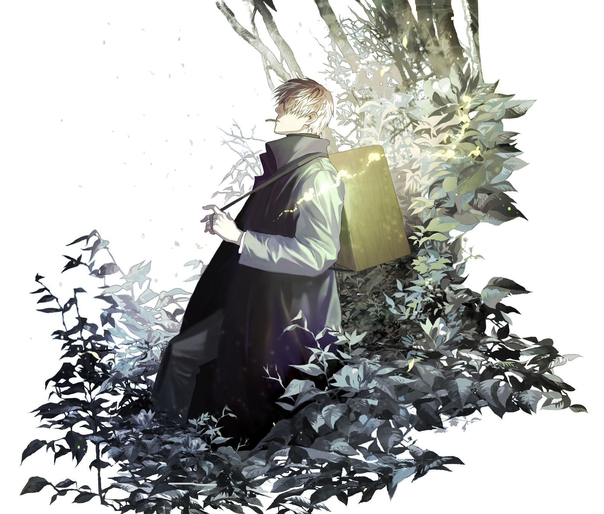 Ginko Mushishi Wallpapers Wallpaper Cave