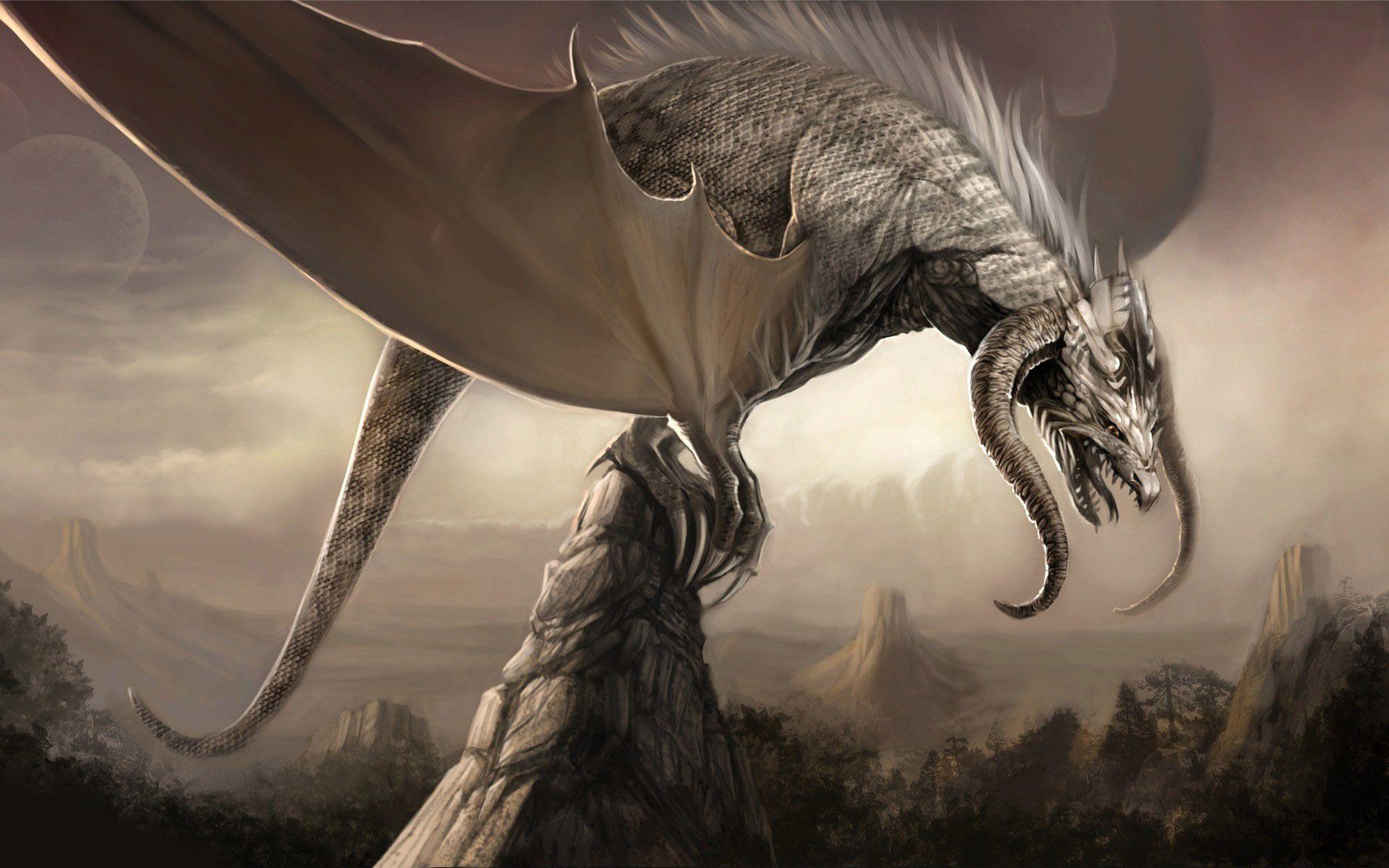 HD White Dragon Wallpapers Wallpaper Cave