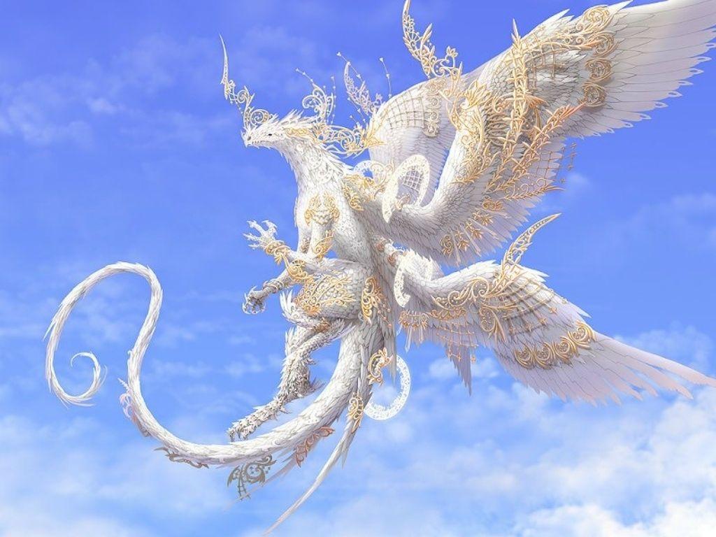 HD White Dragon Wallpapers Wallpaper Cave