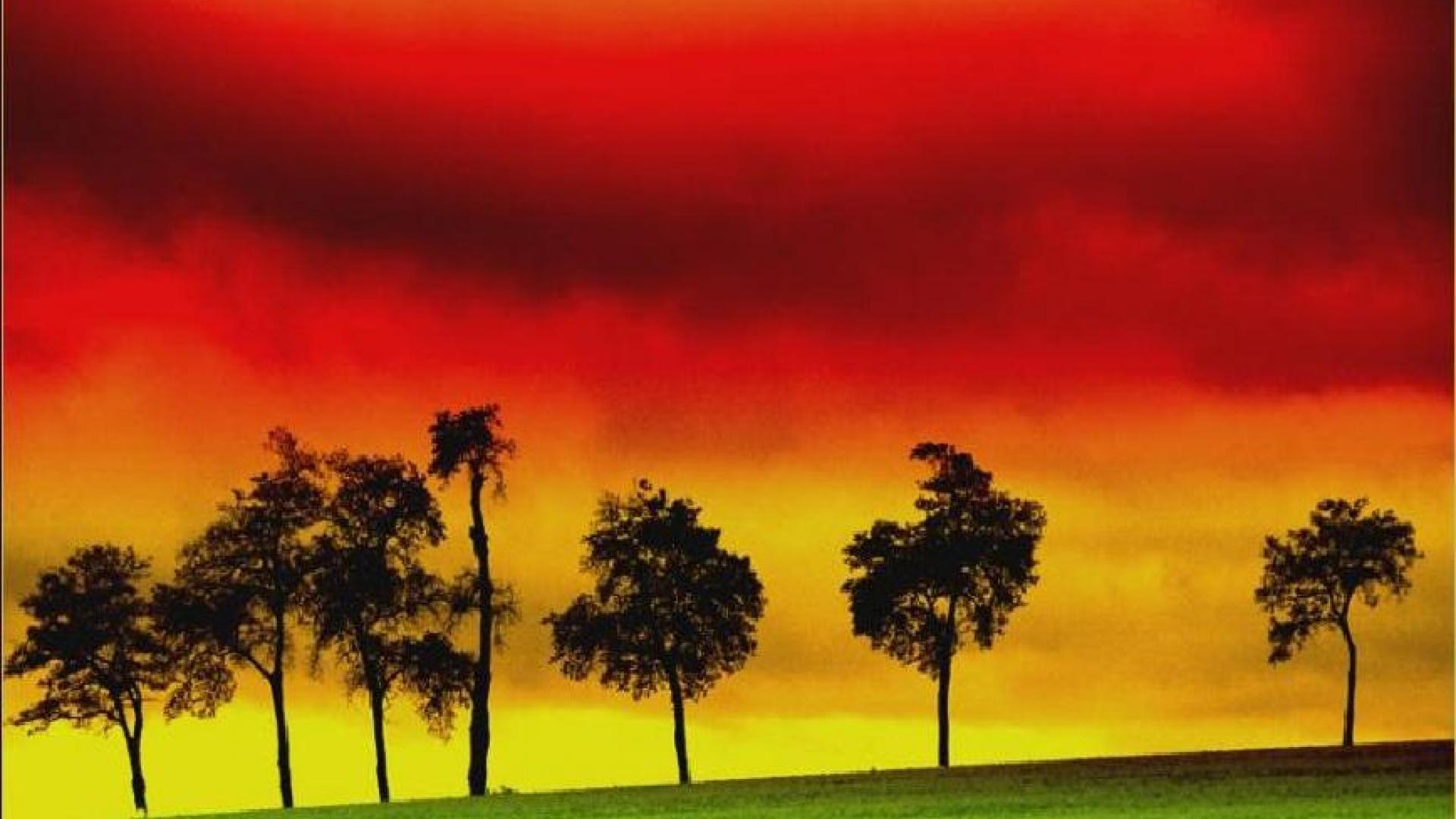 Wallpapers HD Reggae Wallpaper Cave