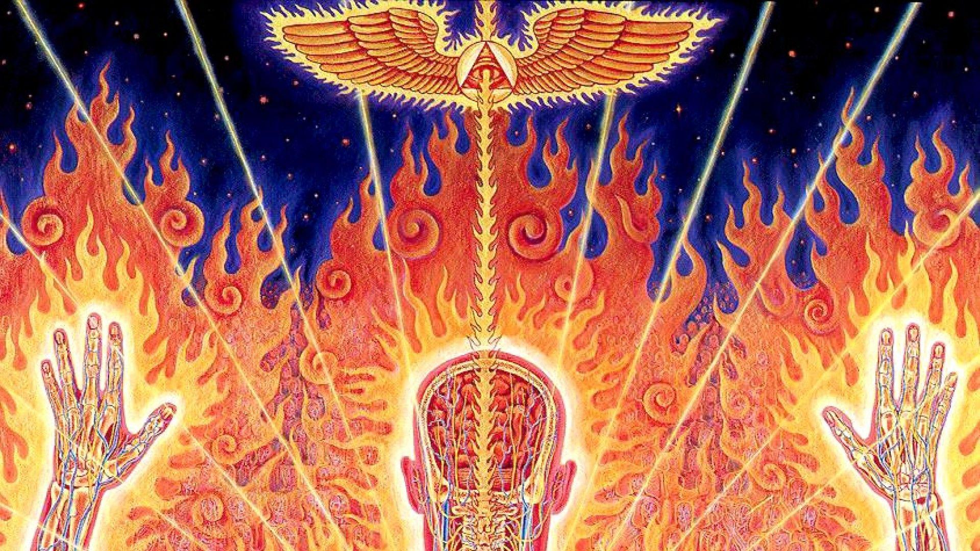 Alex Grey Backgrounds Desktop Wallpaper Cave