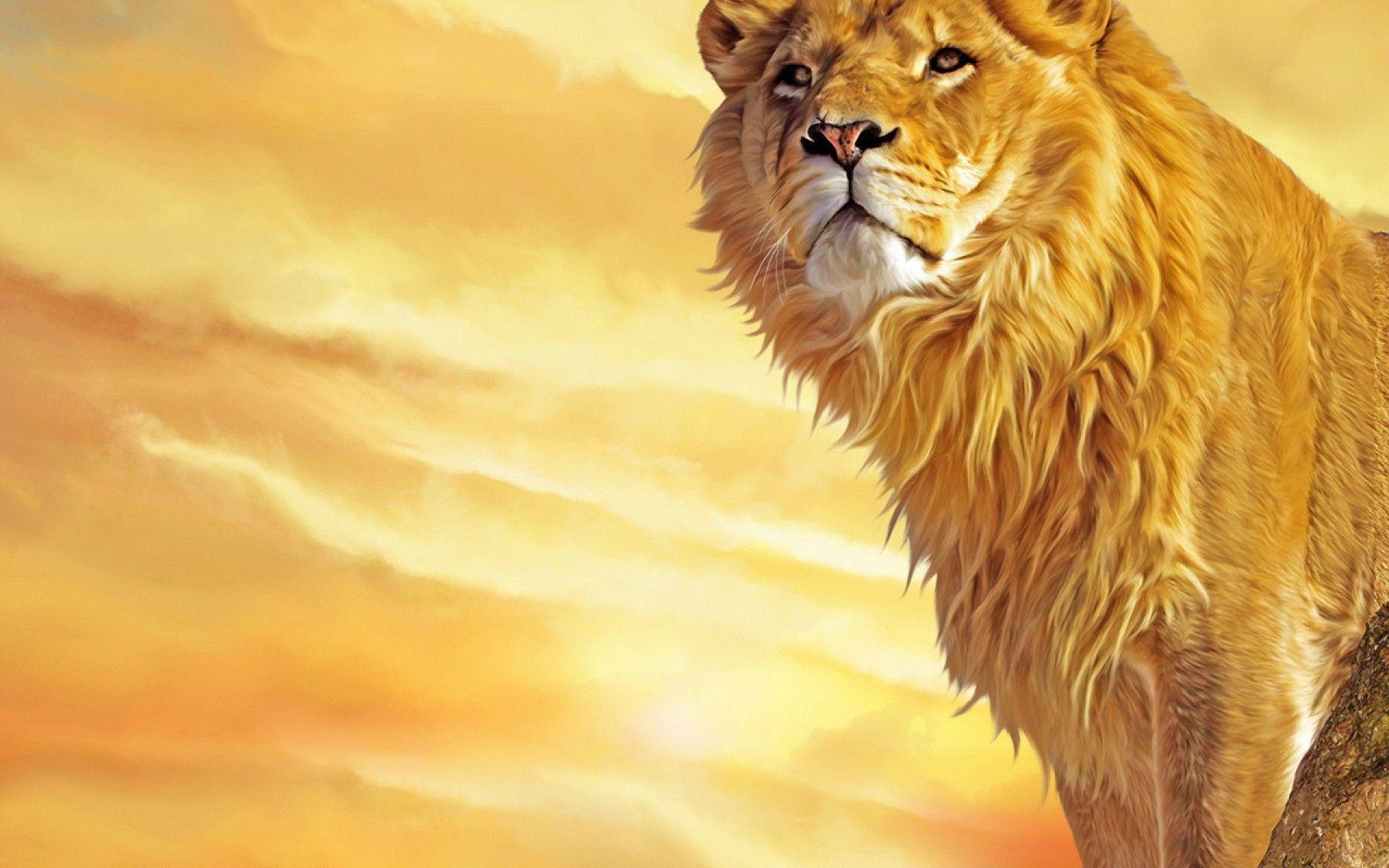Wallpapers Singa 3D Wallpaper Cave