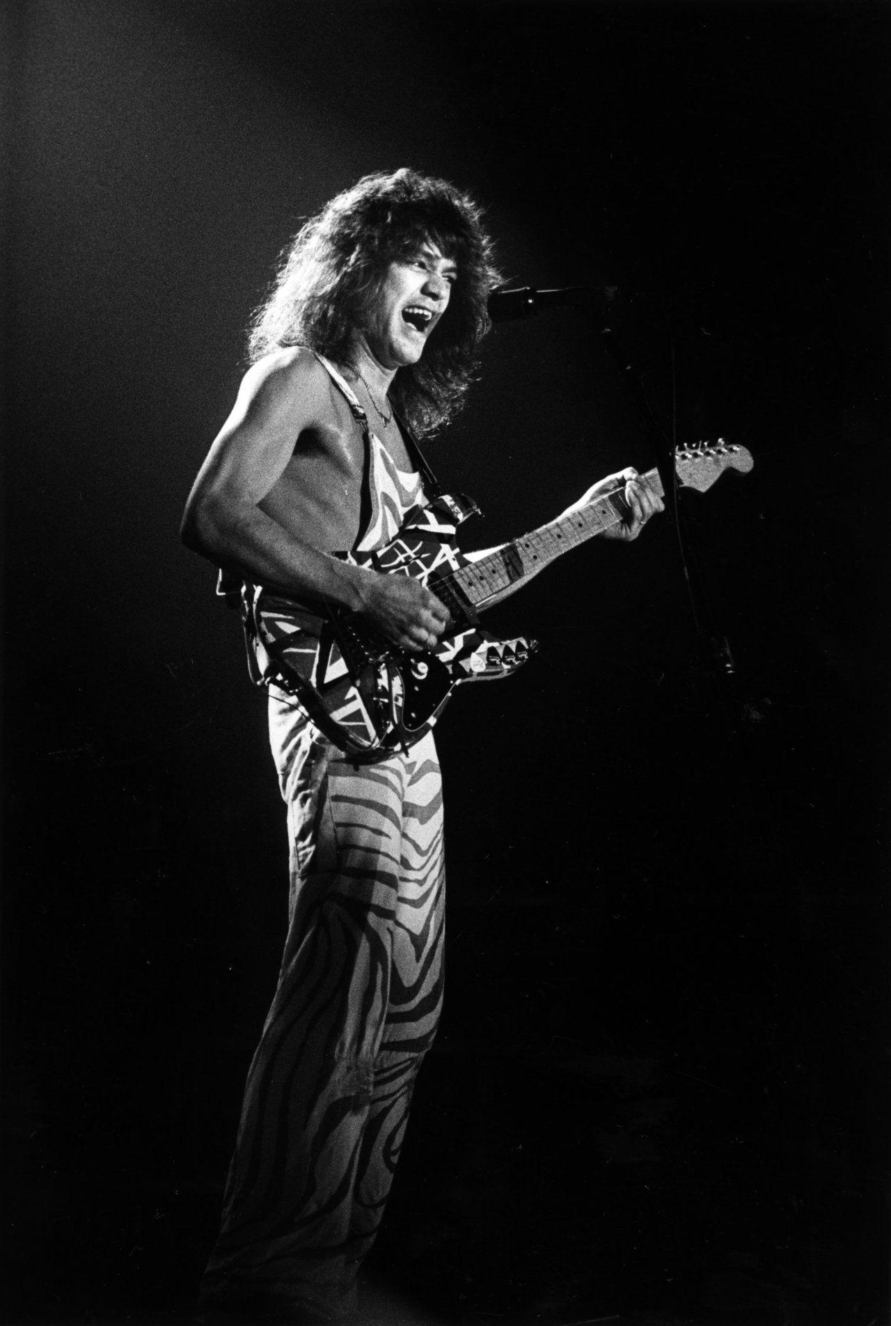 Van Halen Iphone 5 Wallpapers Wallpaper Cave