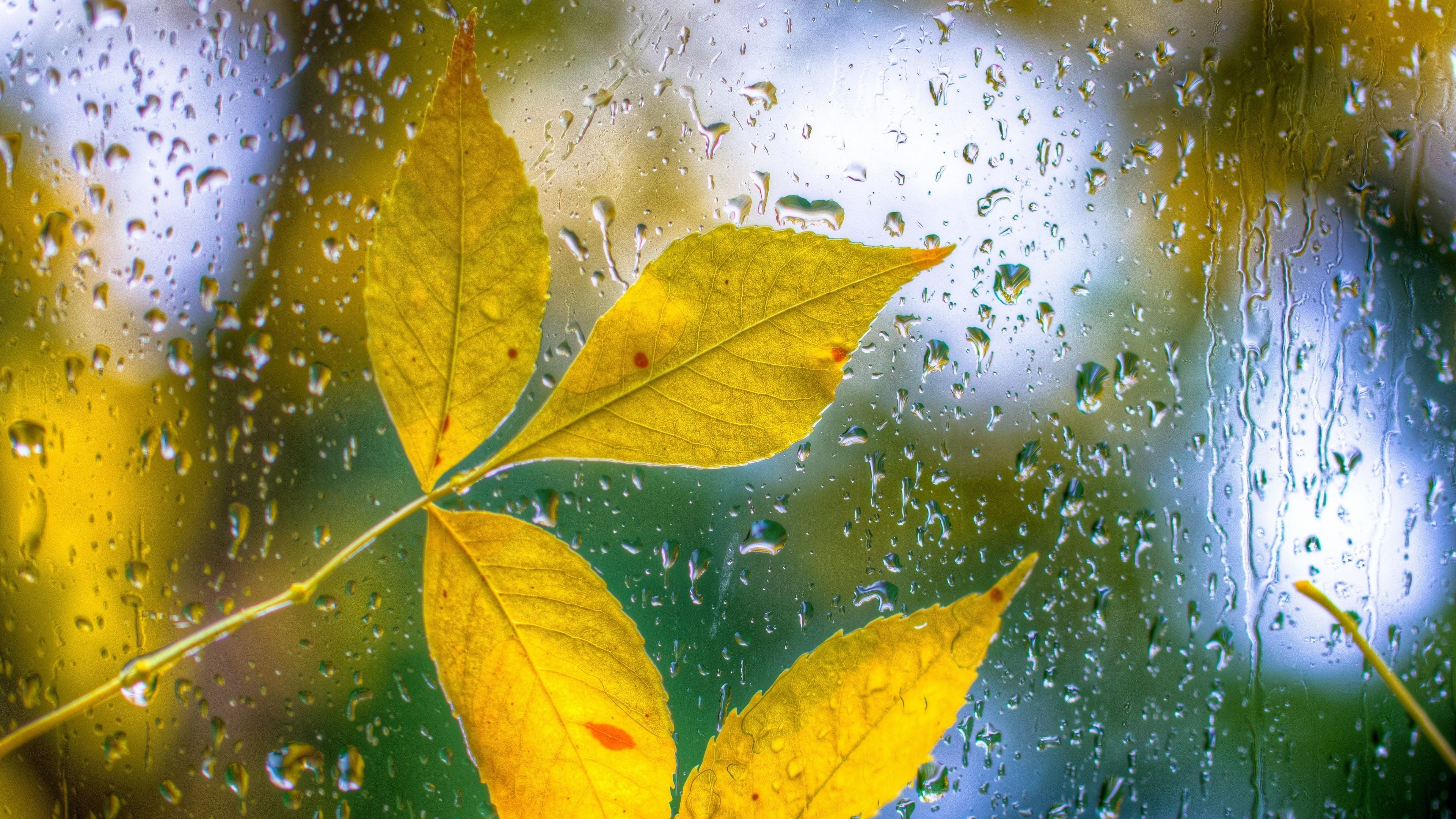 Windows Glass Wallpaper Hd