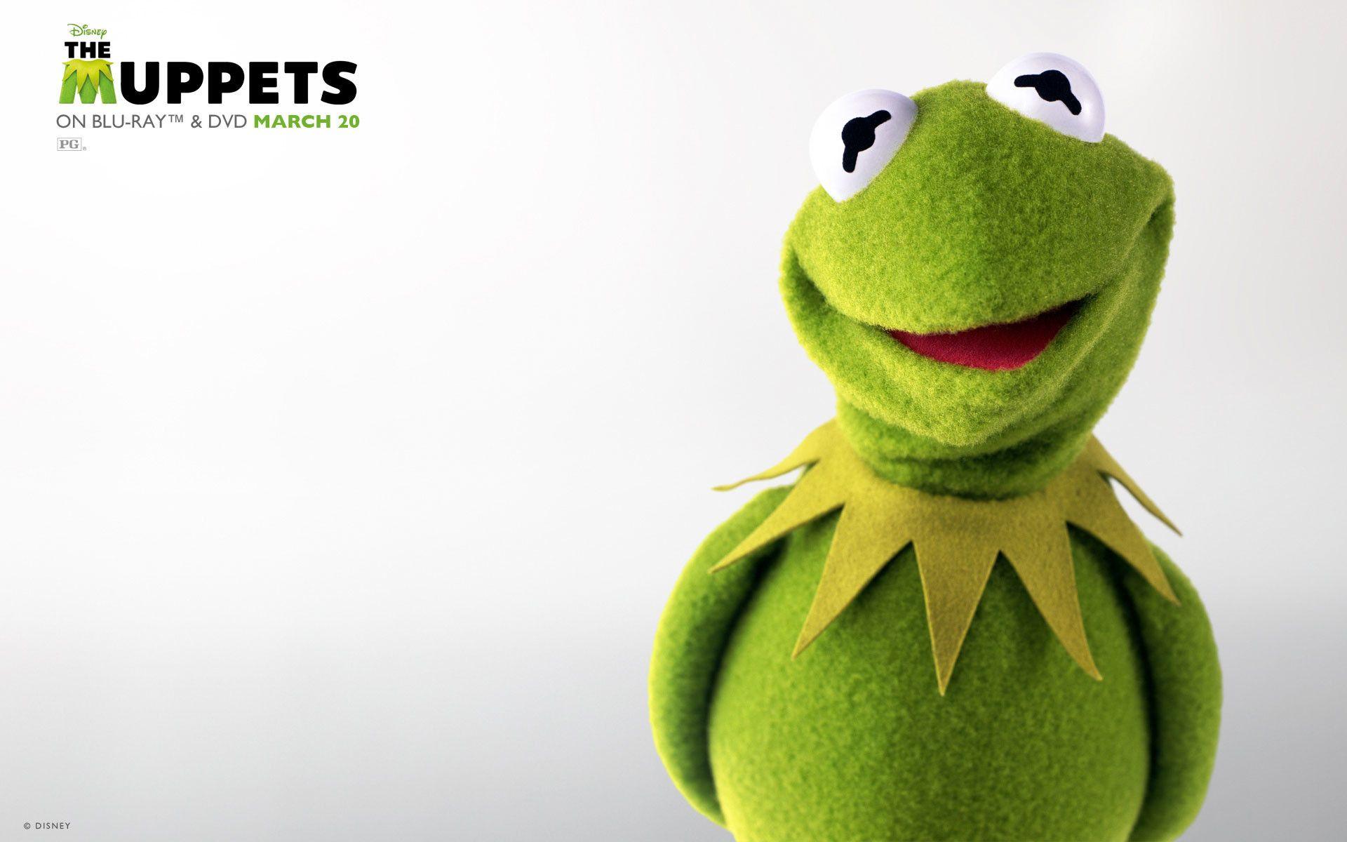 Kermit Wallpapers Wallpaper Cave