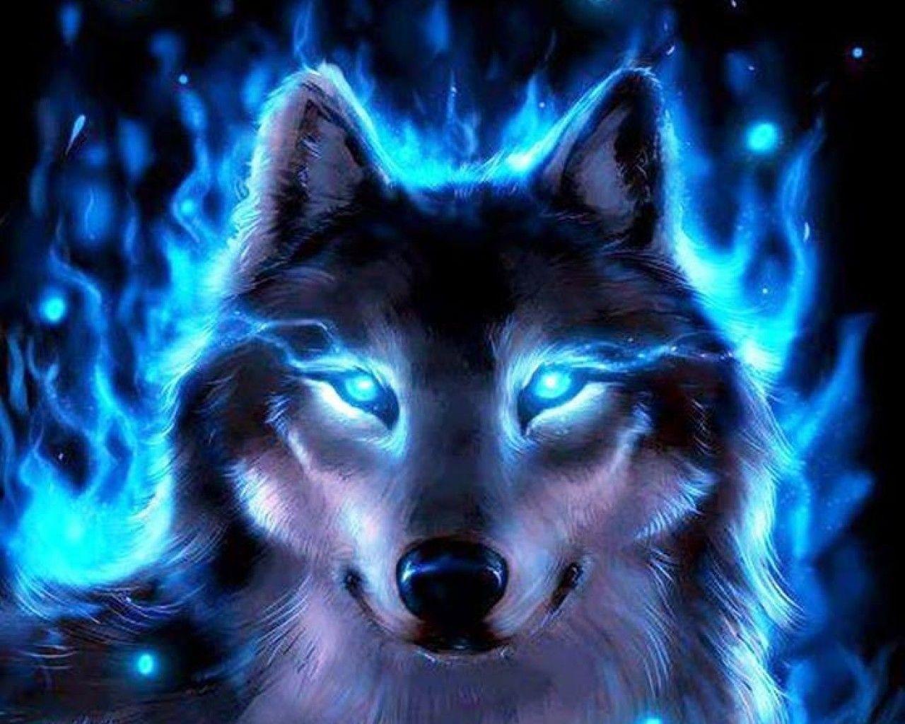Black Wolf With Blue Eyes Wallpapers
