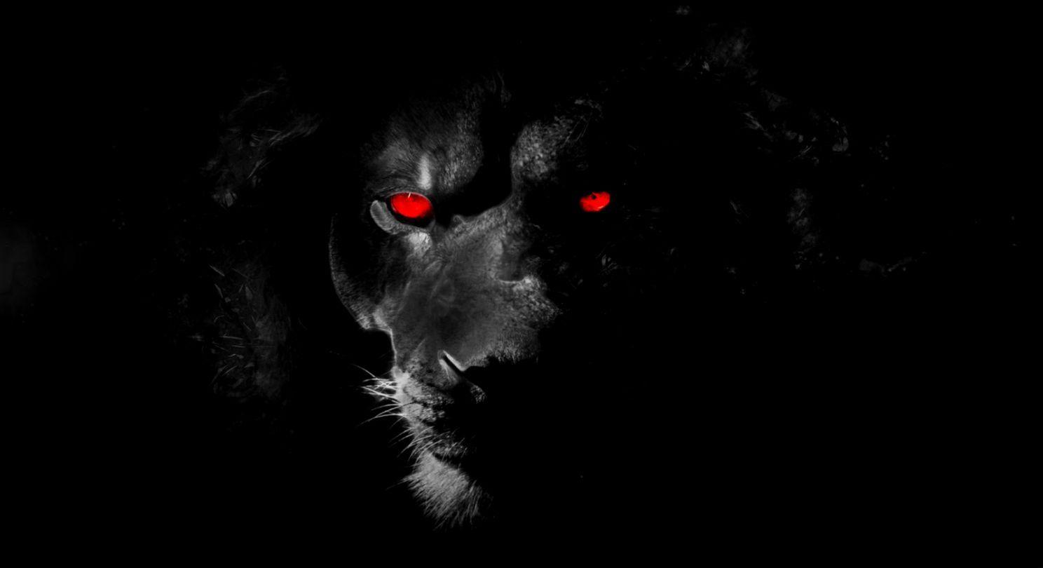Black Iphone Lion Wallpaper Hd 1080P jhayrshow