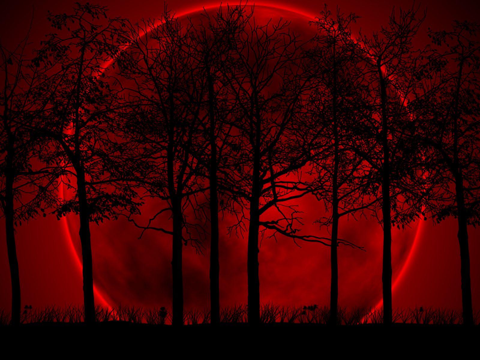 Red Black Wallpapers HD Wallpaper Cave