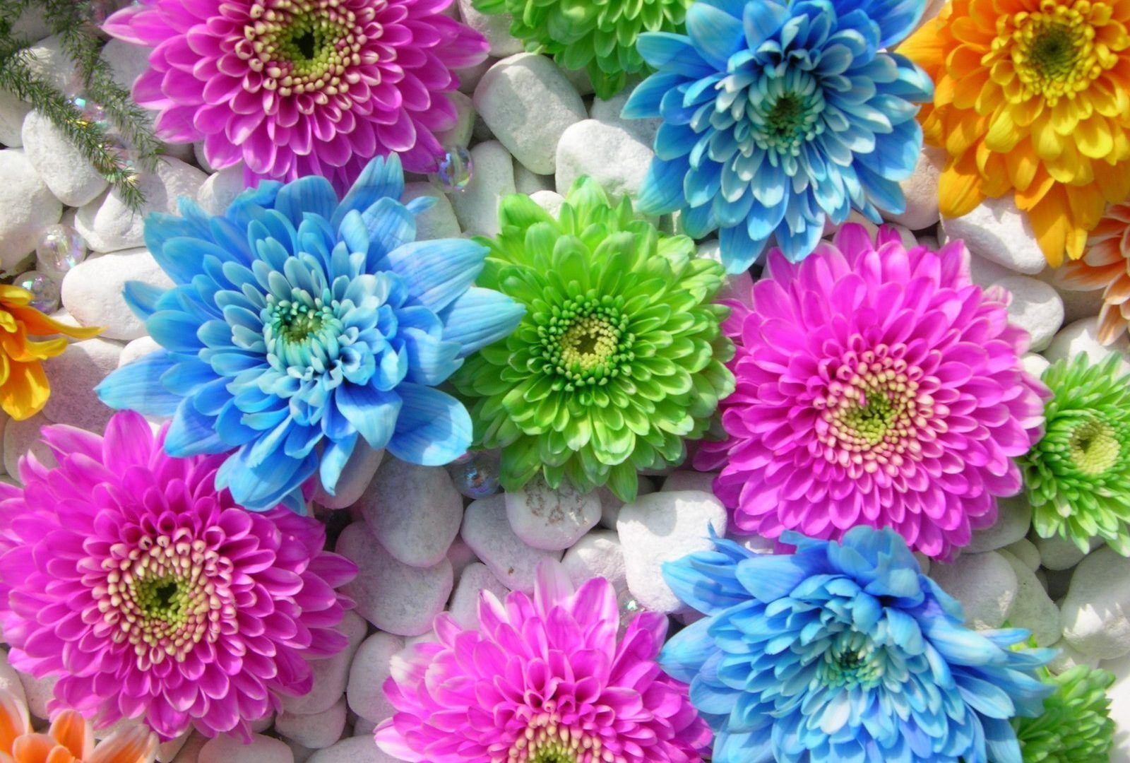 Pink And Blue Wallpapers For Desktop Wallpaper Cave