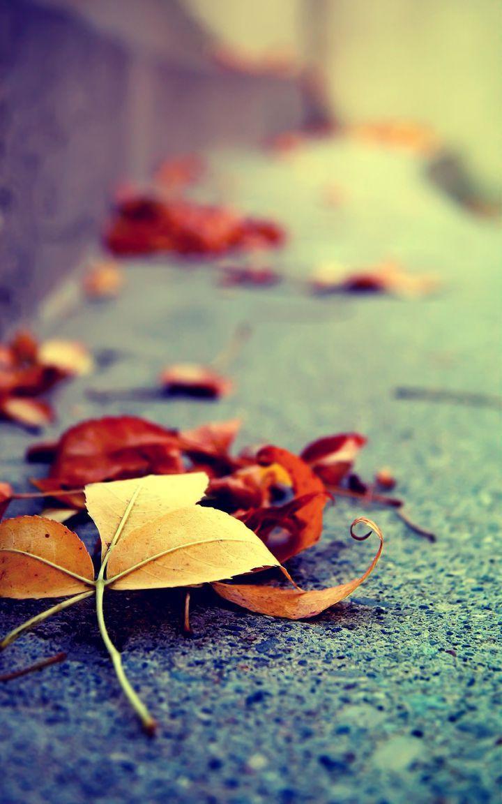 Vertical Wallpapers HD Wallpaper Cave