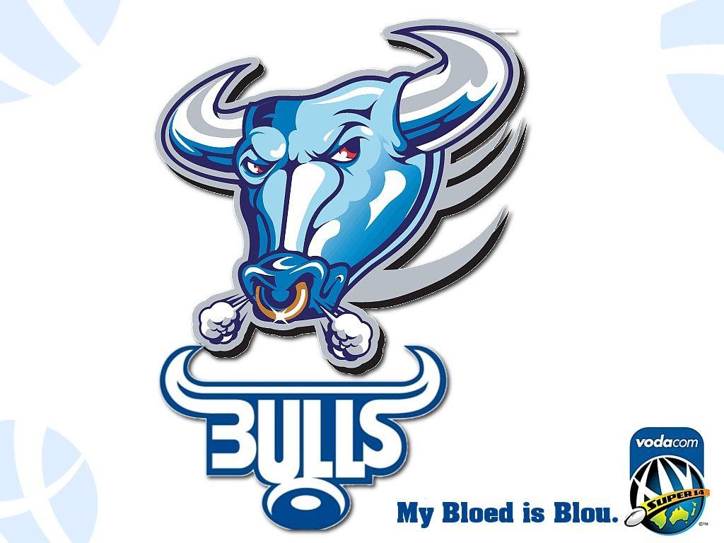 Blue Bulls Wallpapers Wallpaper Cave