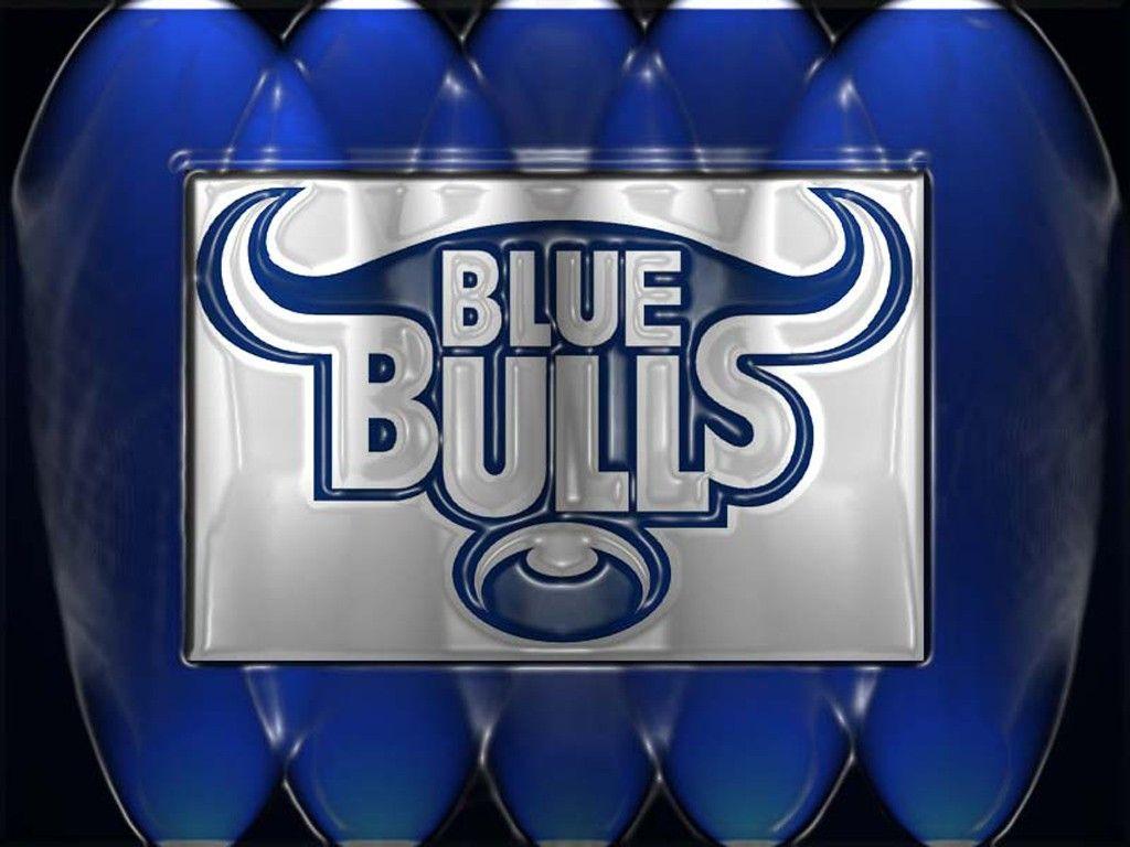 Free Blue Bulls Wallpapers Wallpaper Cave