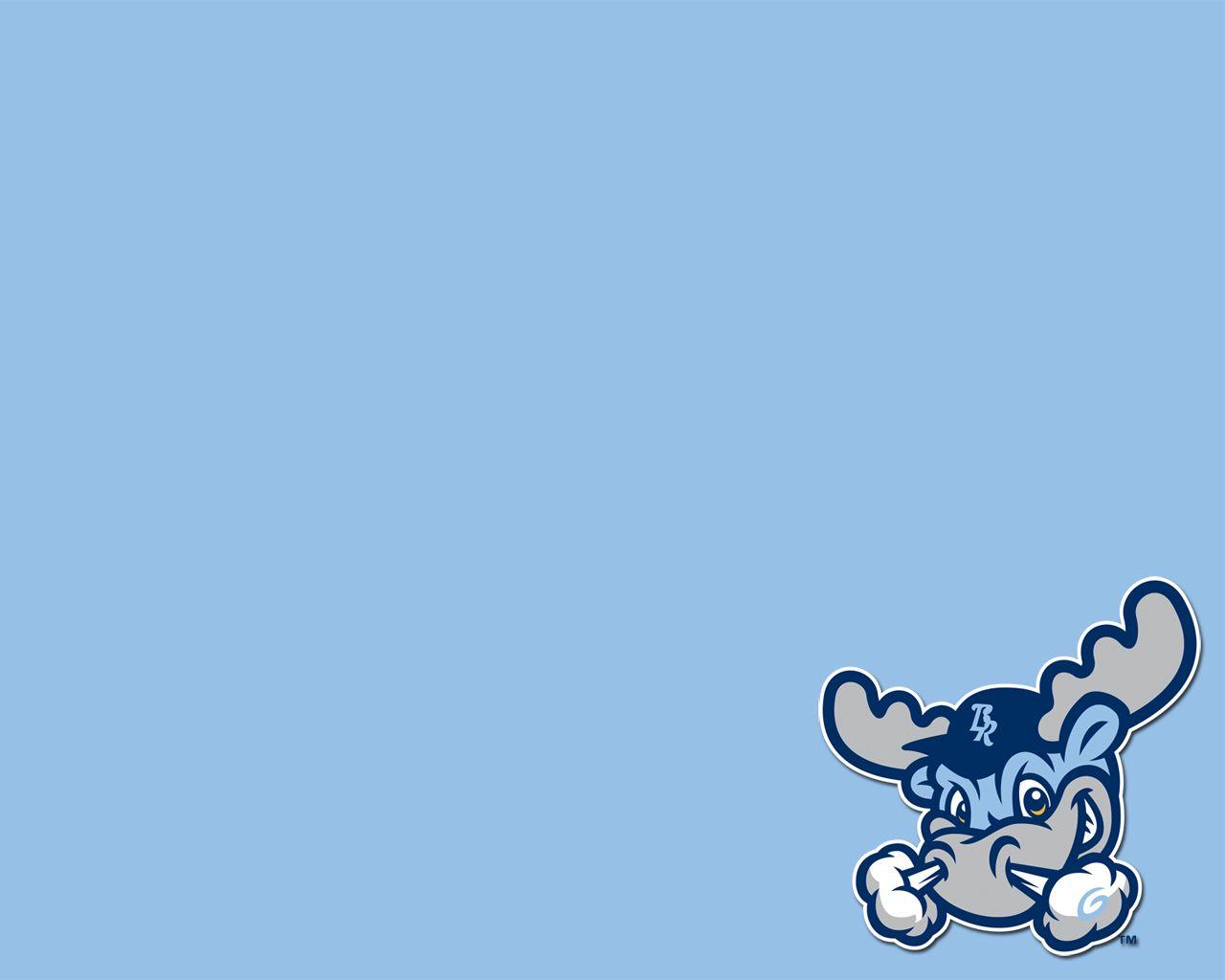 Blue Bulls Wallpapers Wallpaper Cave